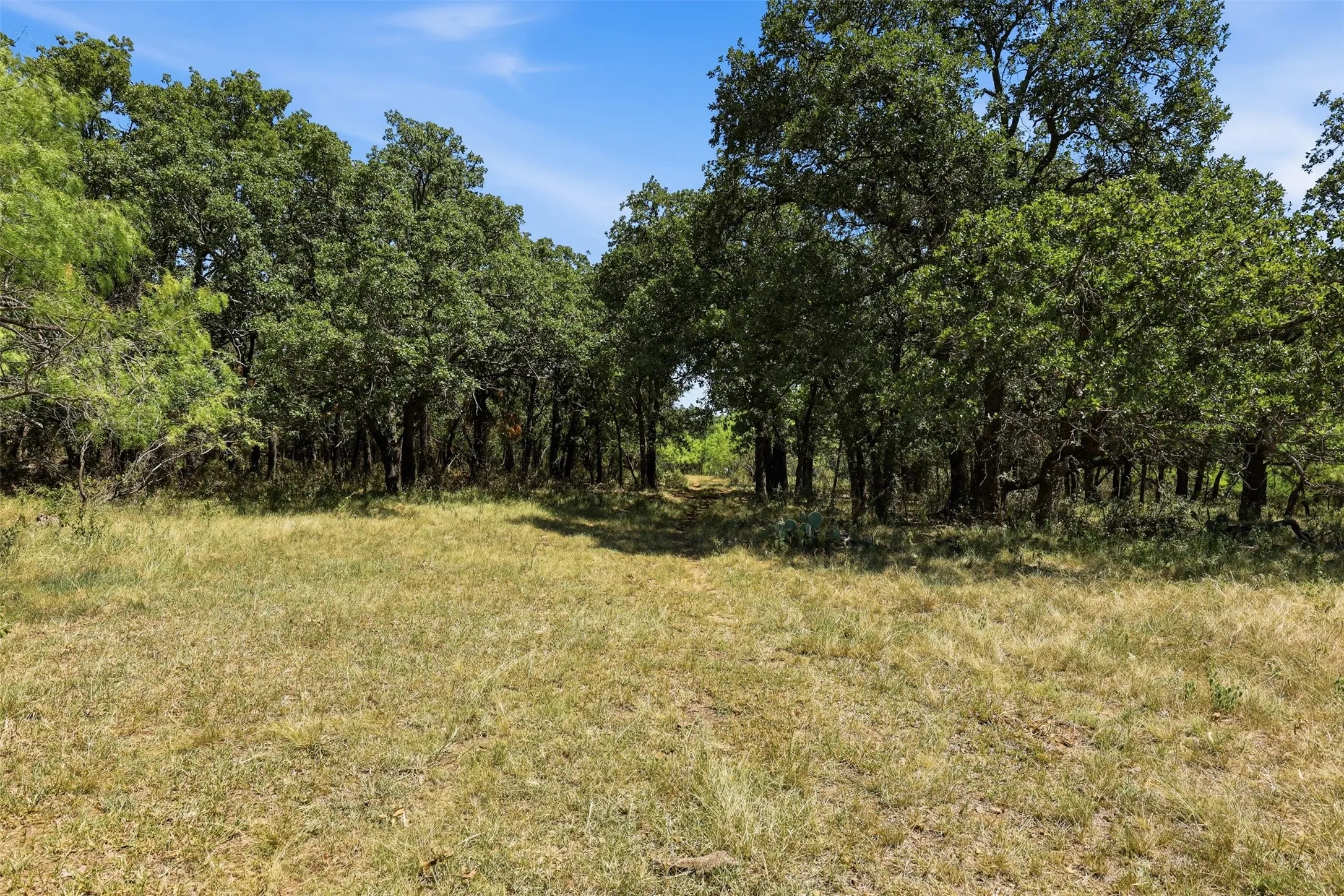Ranch For Sale in Callahan County , 0 County Road 162, Cisco, Texas 76437, 0, 0, Garage spaces, 0 Sqft, built in 0, mls#21371030, Real Estate Agent in Cisco, Homes For Sale in Callahan county, Homes For Sale in Cisco, Realtor in Cisco Texas, Real Estate Brokerage Independent Realty Texas, Luminita Cordes Realtor