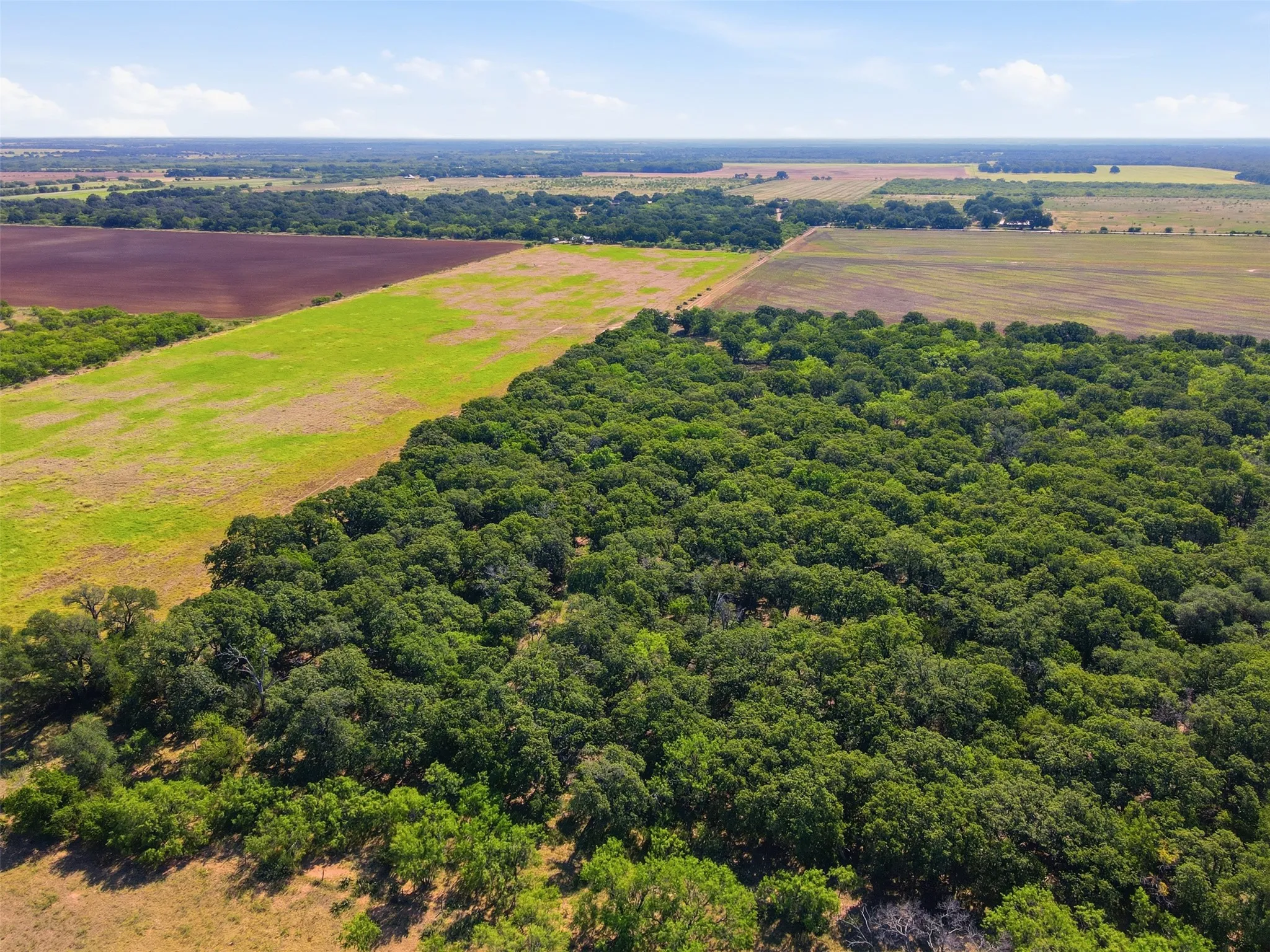 Ranch For Sale in Callahan County , 0 County Road 162, Cisco, Texas 76437, 0, 0, Garage spaces, 0 Sqft, built in 0, mls#21371030, Real Estate Agent in Cisco, Homes For Sale in Callahan county, Homes For Sale in Cisco, Realtor in Cisco Texas, Real Estate Brokerage Independent Realty Texas, Luminita Cordes Realtor