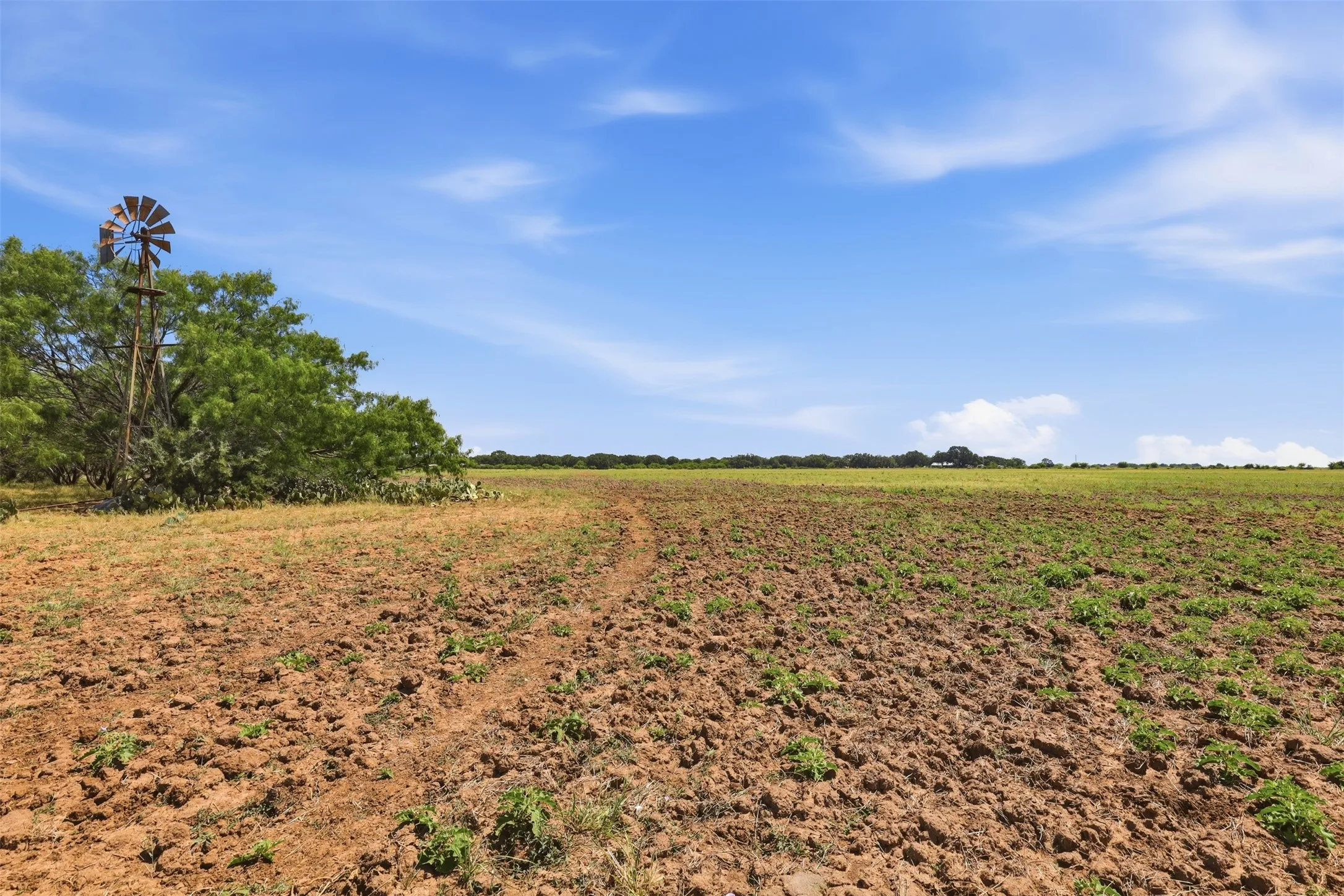 Ranch For Sale in Callahan County , 0 County Road 162, Cisco, Texas 76437, 0, 0, Garage spaces, 0 Sqft, built in 0, mls#21371030, Real Estate Agent in Cisco, Homes For Sale in Callahan county, Homes For Sale in Cisco, Realtor in Cisco Texas, Real Estate Brokerage Independent Realty Texas, Luminita Cordes Realtor