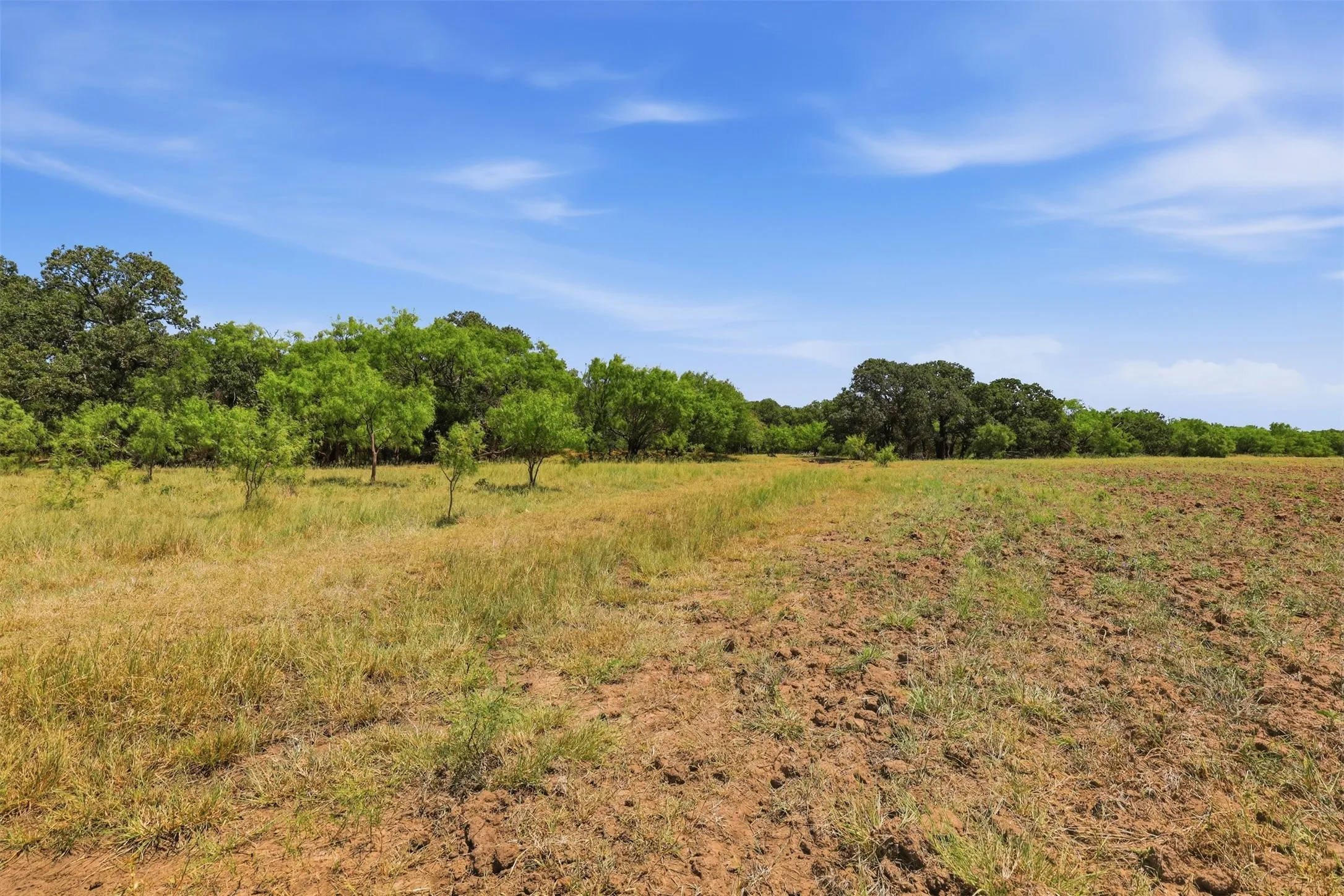 Ranch For Sale in Callahan County , 0 County Road 162, Cisco, Texas 76437, 0, 0, Garage spaces, 0 Sqft, built in 0, mls#21371030, Real Estate Agent in Cisco, Homes For Sale in Callahan county, Homes For Sale in Cisco, Realtor in Cisco Texas, Real Estate Brokerage Independent Realty Texas, Luminita Cordes Realtor