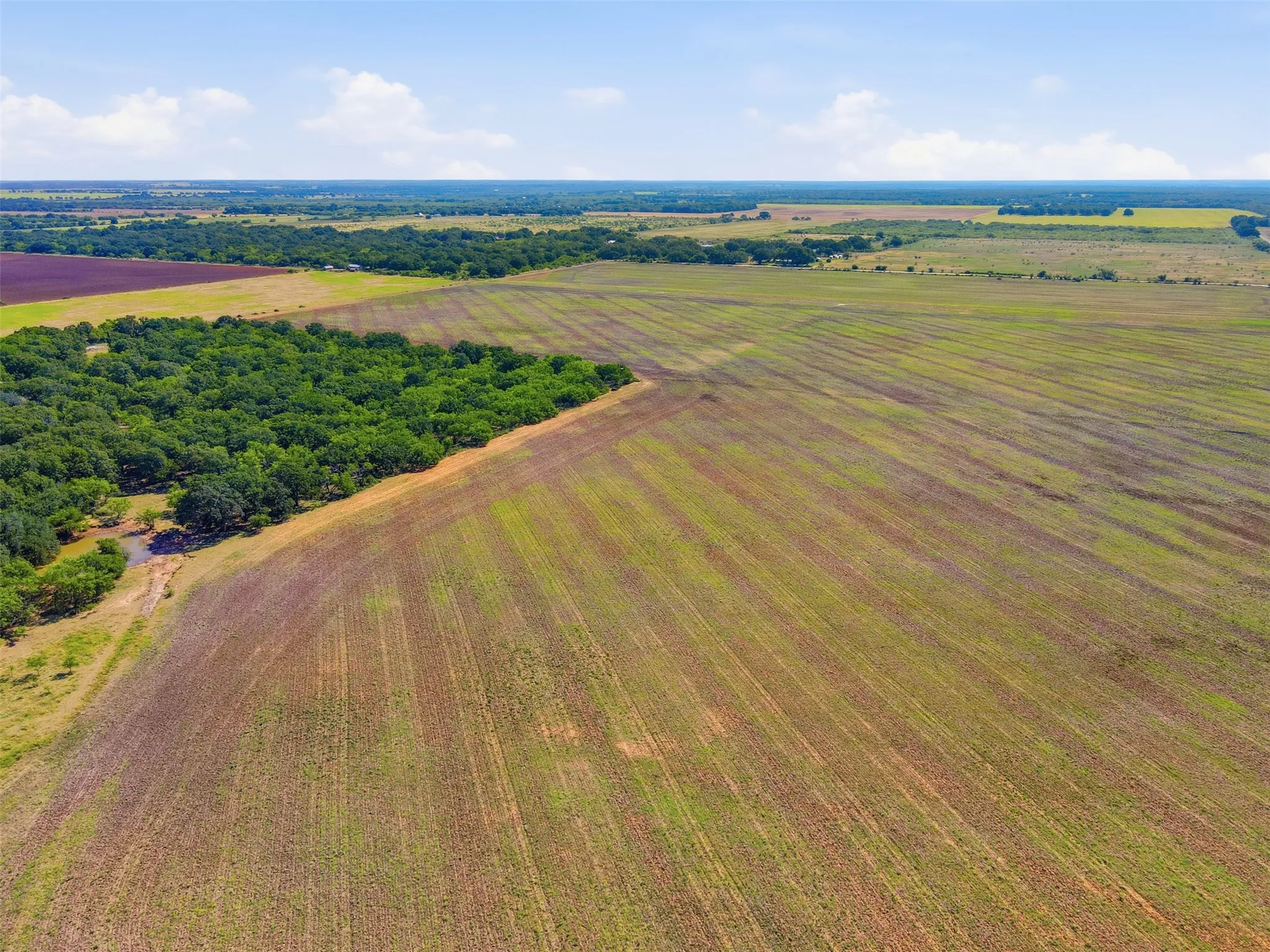 Ranch For Sale in Callahan County , 0 County Road 162, Cisco, Texas 76437, 0, 0, Garage spaces, 0 Sqft, built in 0, mls#21371030, Real Estate Agent in Cisco, Homes For Sale in Callahan county, Homes For Sale in Cisco, Realtor in Cisco Texas, Real Estate Brokerage Independent Realty Texas, Luminita Cordes Realtor