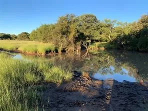 Ranch For Sale in Callahan County , 0 County Road 162, Cisco, Texas 76437, 0, 0, Garage spaces, 0 Sqft, built in 0, mls#21371030, Real Estate Agent in Cisco, Homes For Sale in Callahan county, Homes For Sale in Cisco, Realtor in Cisco Texas, Real Estate Brokerage Independent Realty Texas, Luminita Cordes Realtor