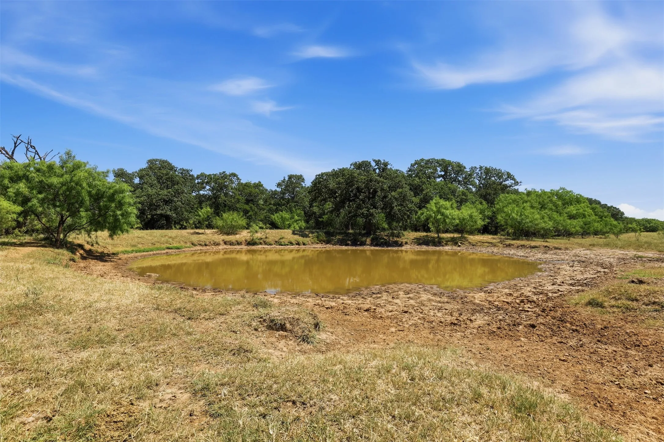 Ranch For Sale in Callahan County , 0 County Road 162, Cisco, Texas 76437, 0, 0, Garage spaces, 0 Sqft, built in 0, mls#21371030, Real Estate Agent in Cisco, Homes For Sale in Callahan county, Homes For Sale in Cisco, Realtor in Cisco Texas, Real Estate Brokerage Independent Realty Texas, Luminita Cordes Realtor