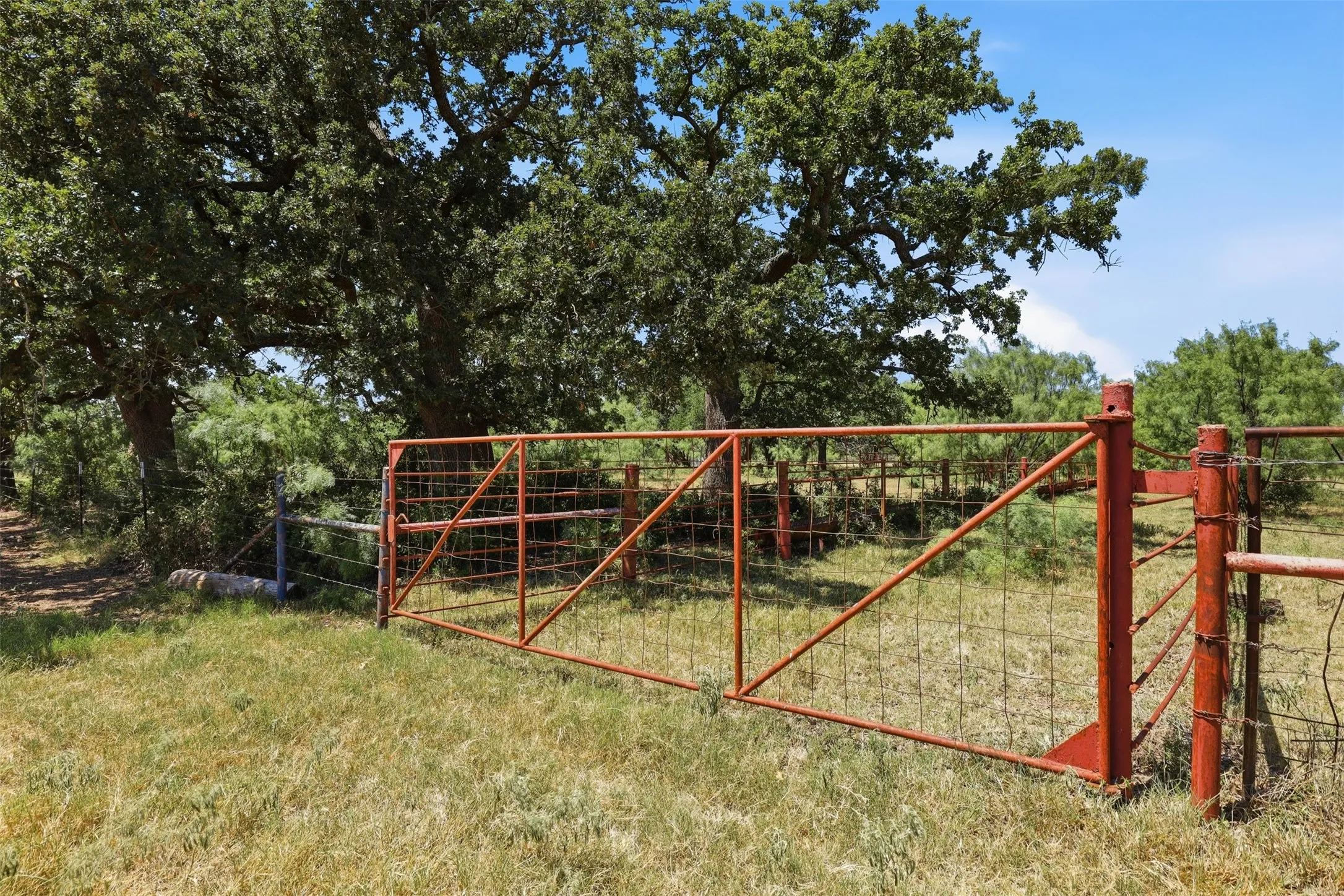 Ranch For Sale in Callahan County , 0 County Road 162, Cisco, Texas 76437, 0, 0, Garage spaces, 0 Sqft, built in 0, mls#21371030, Real Estate Agent in Cisco, Homes For Sale in Callahan county, Homes For Sale in Cisco, Realtor in Cisco Texas, Real Estate Brokerage Independent Realty Texas, Luminita Cordes Realtor