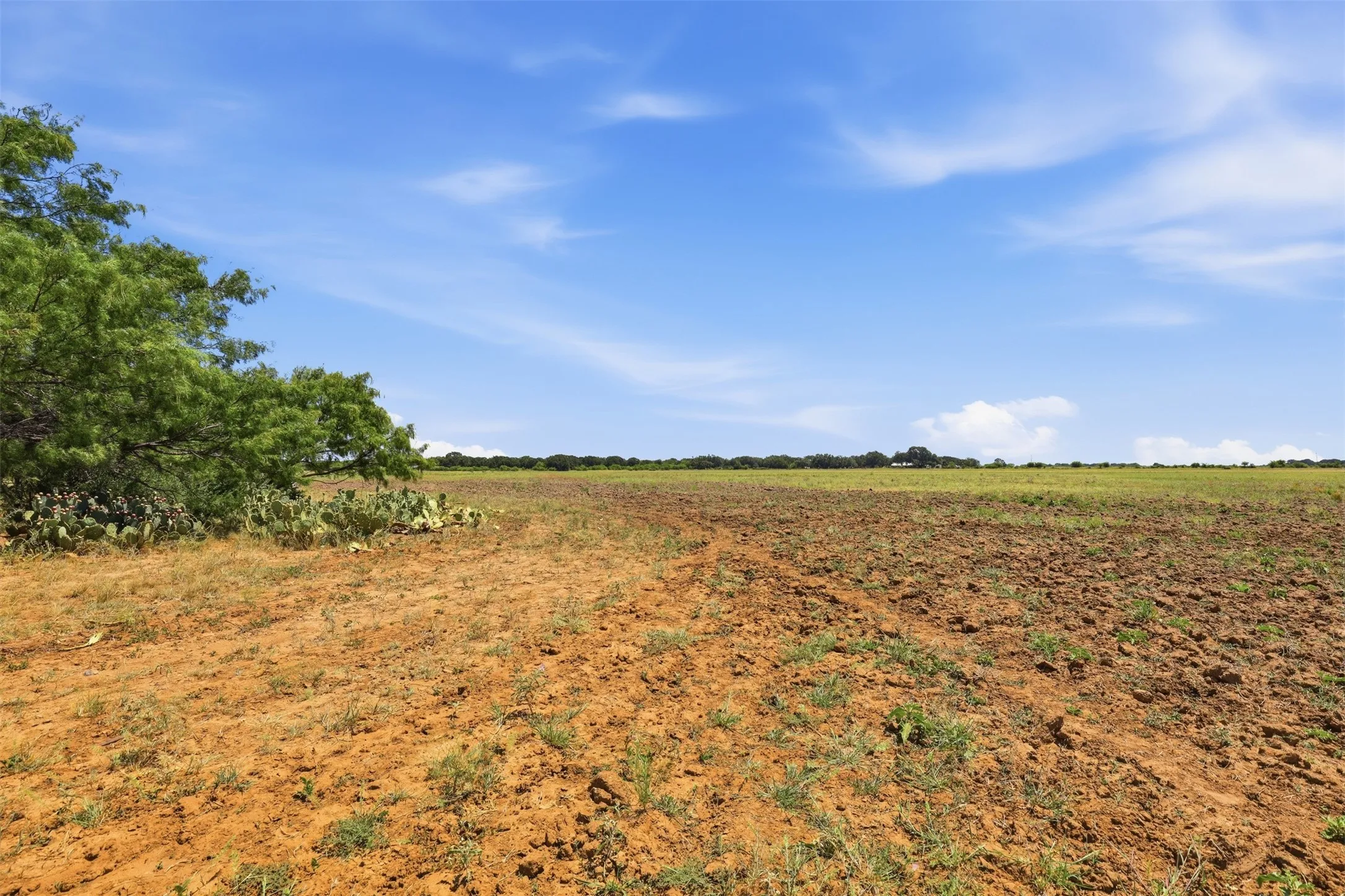 Ranch For Sale in Callahan County , 0 County Road 162, Cisco, Texas 76437, 0, 0, Garage spaces, 0 Sqft, built in 0, mls#21371030, Real Estate Agent in Cisco, Homes For Sale in Callahan county, Homes For Sale in Cisco, Realtor in Cisco Texas, Real Estate Brokerage Independent Realty Texas, Luminita Cordes Realtor