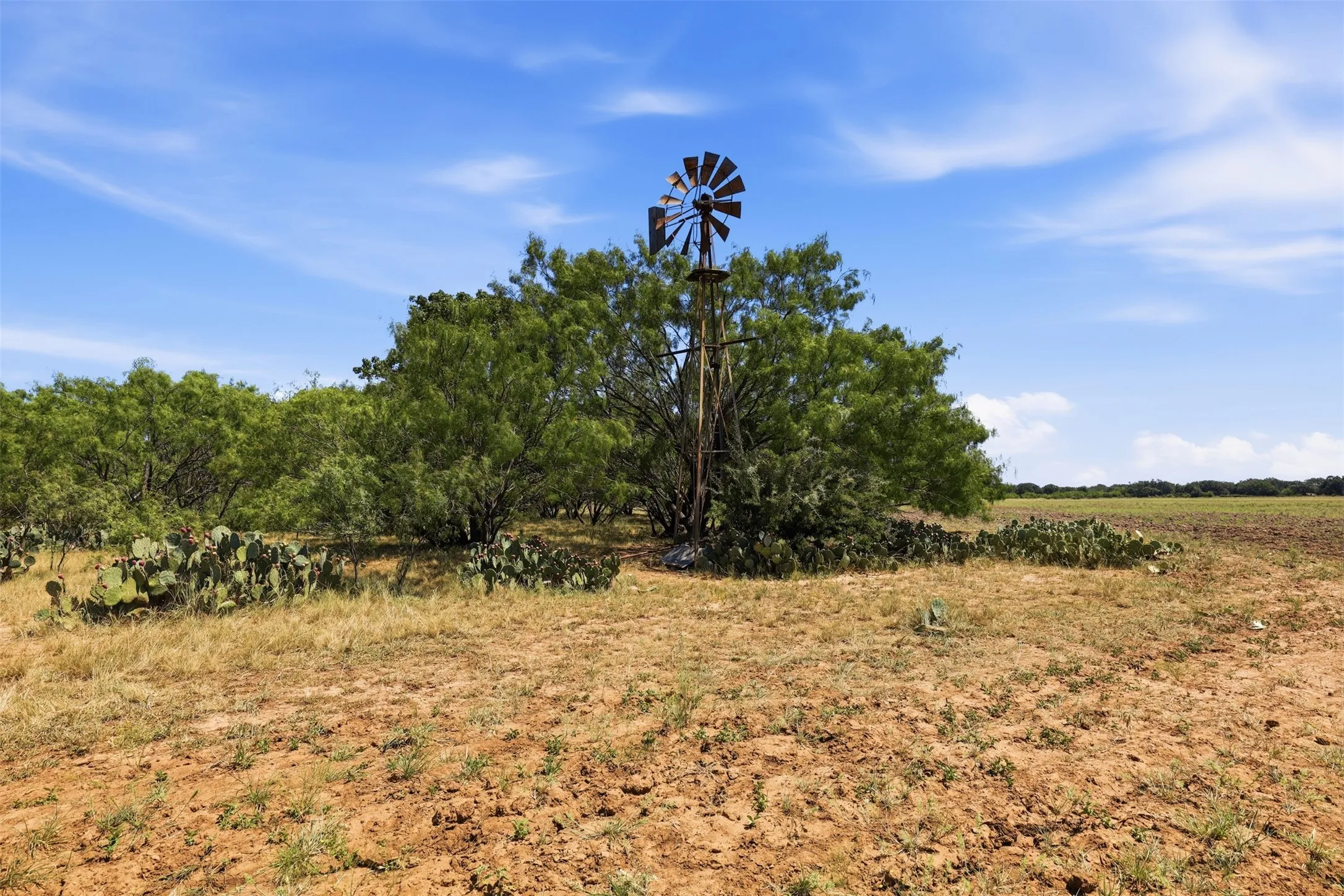 Ranch For Sale in Callahan County , 0 County Road 162, Cisco, Texas 76437, 0, 0, Garage spaces, 0 Sqft, built in 0, mls#21371030, Real Estate Agent in Cisco, Homes For Sale in Callahan county, Homes For Sale in Cisco, Realtor in Cisco Texas, Real Estate Brokerage Independent Realty Texas, Luminita Cordes Realtor