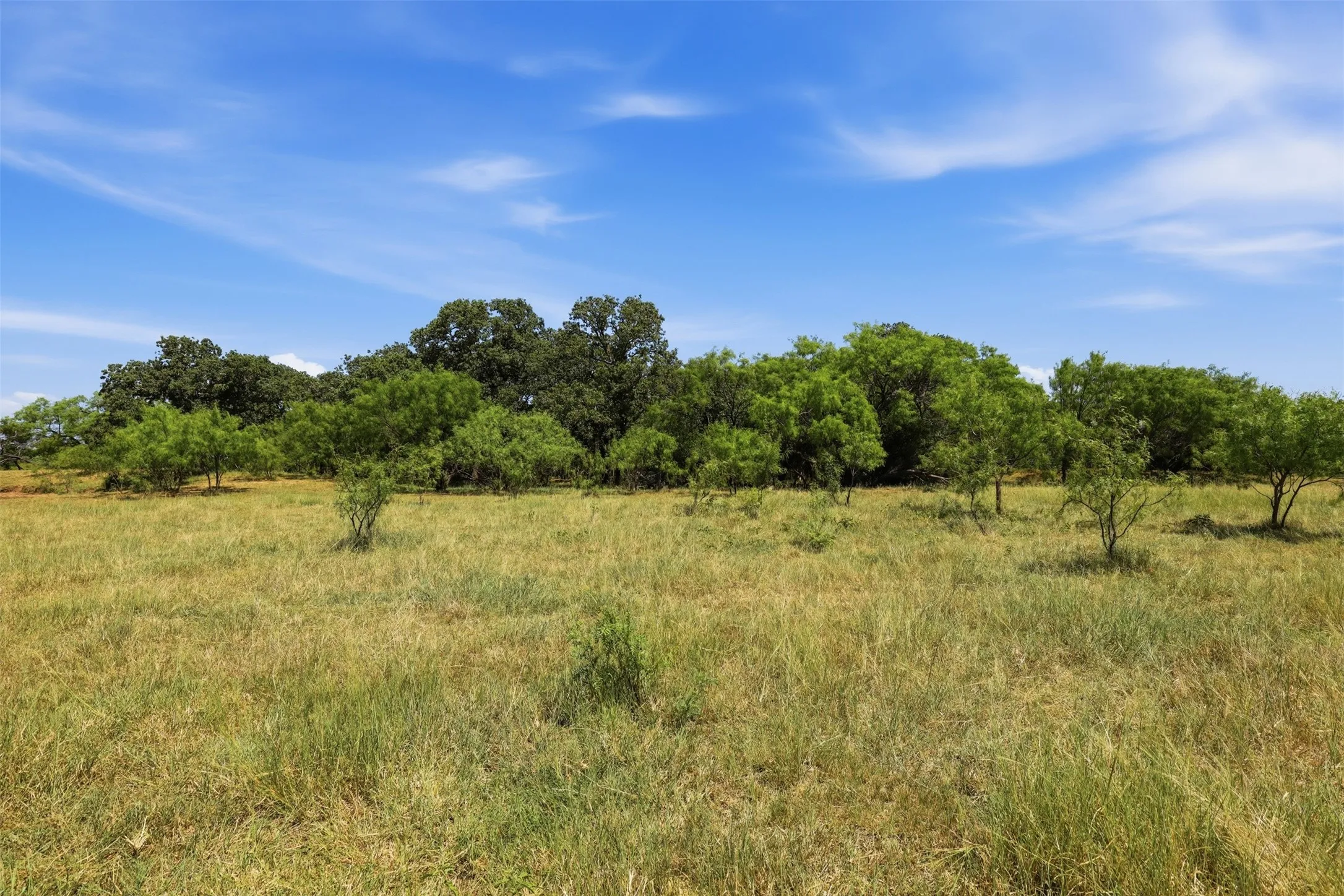 Ranch For Sale in Callahan County , 0 County Road 162, Cisco, Texas 76437, 0, 0, Garage spaces, 0 Sqft, built in 0, mls#21371030, Real Estate Agent in Cisco, Homes For Sale in Callahan county, Homes For Sale in Cisco, Realtor in Cisco Texas, Real Estate Brokerage Independent Realty Texas, Luminita Cordes Realtor