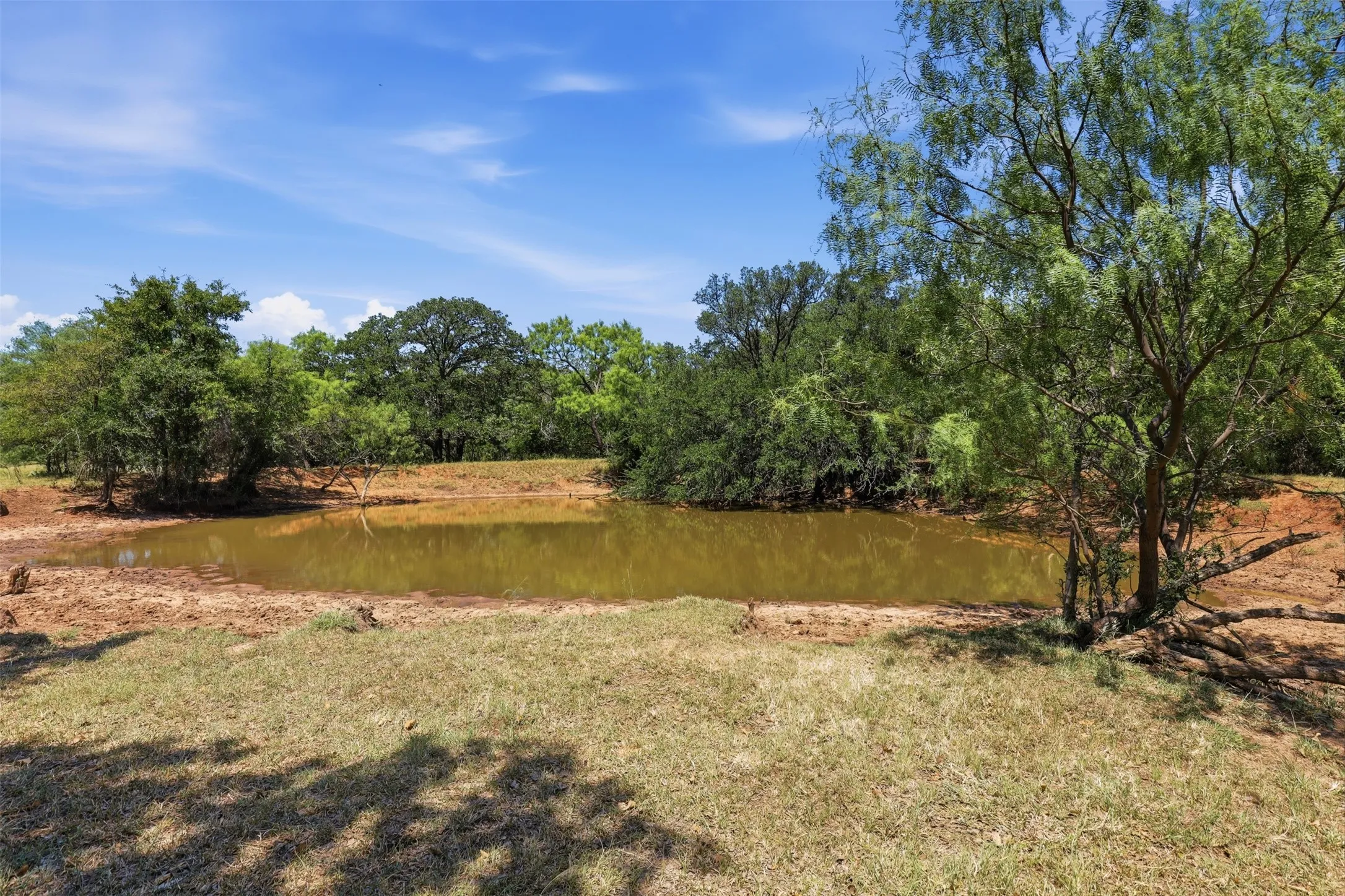 Ranch For Sale in Callahan County , 0 County Road 162, Cisco, Texas 76437, 0, 0, Garage spaces, 0 Sqft, built in 0, mls#21371030, Real Estate Agent in Cisco, Homes For Sale in Callahan county, Homes For Sale in Cisco, Realtor in Cisco Texas, Real Estate Brokerage Independent Realty Texas, Luminita Cordes Realtor
