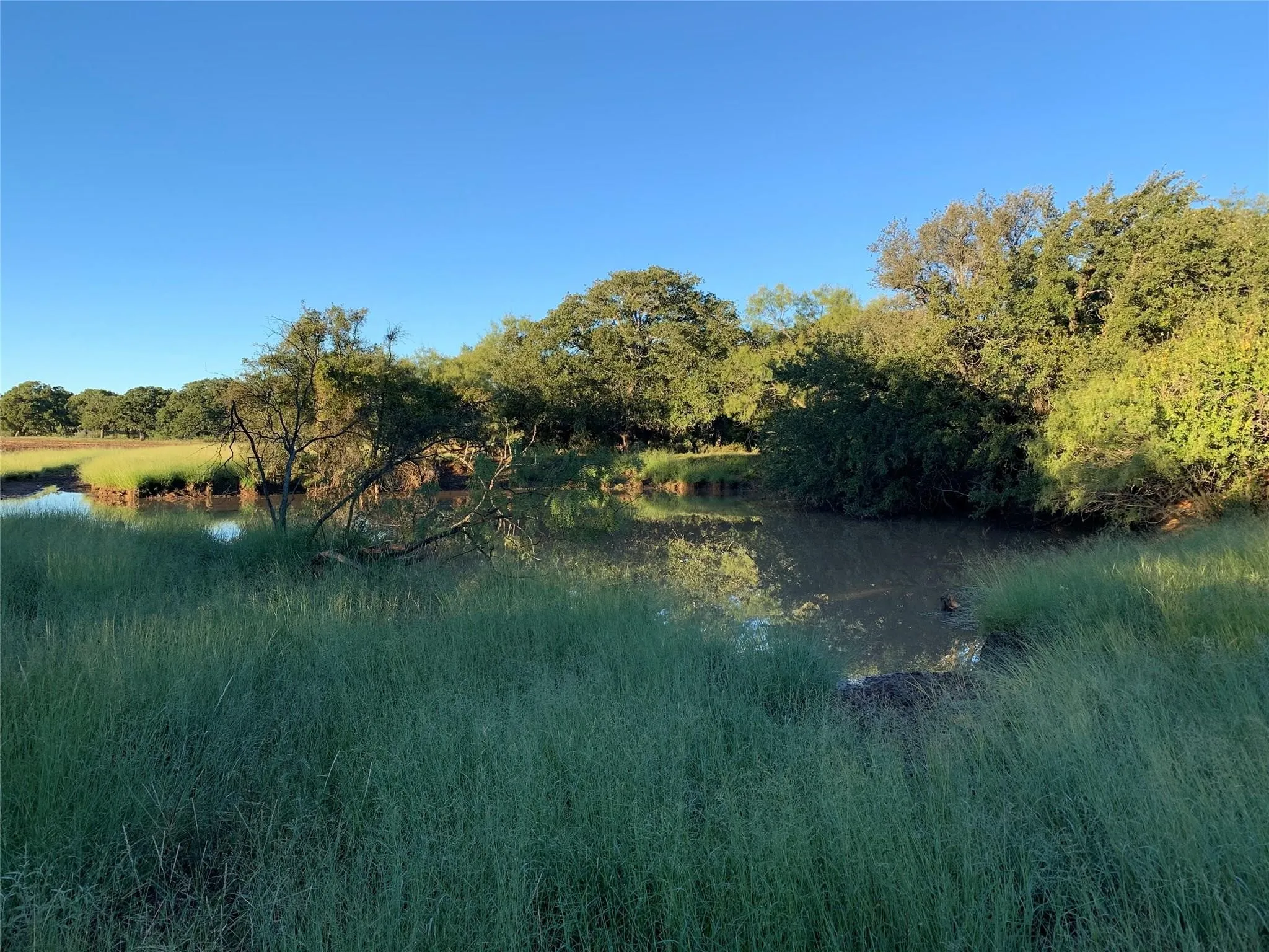 Ranch For Sale in Callahan County , 0 County Road 162, Cisco, Texas 76437, 0, 0, Garage spaces, 0 Sqft, built in 0, mls#21371030, Real Estate Agent in Cisco, Homes For Sale in Callahan county, Homes For Sale in Cisco, Realtor in Cisco Texas, Real Estate Brokerage Independent Realty Texas, Luminita Cordes Realtor