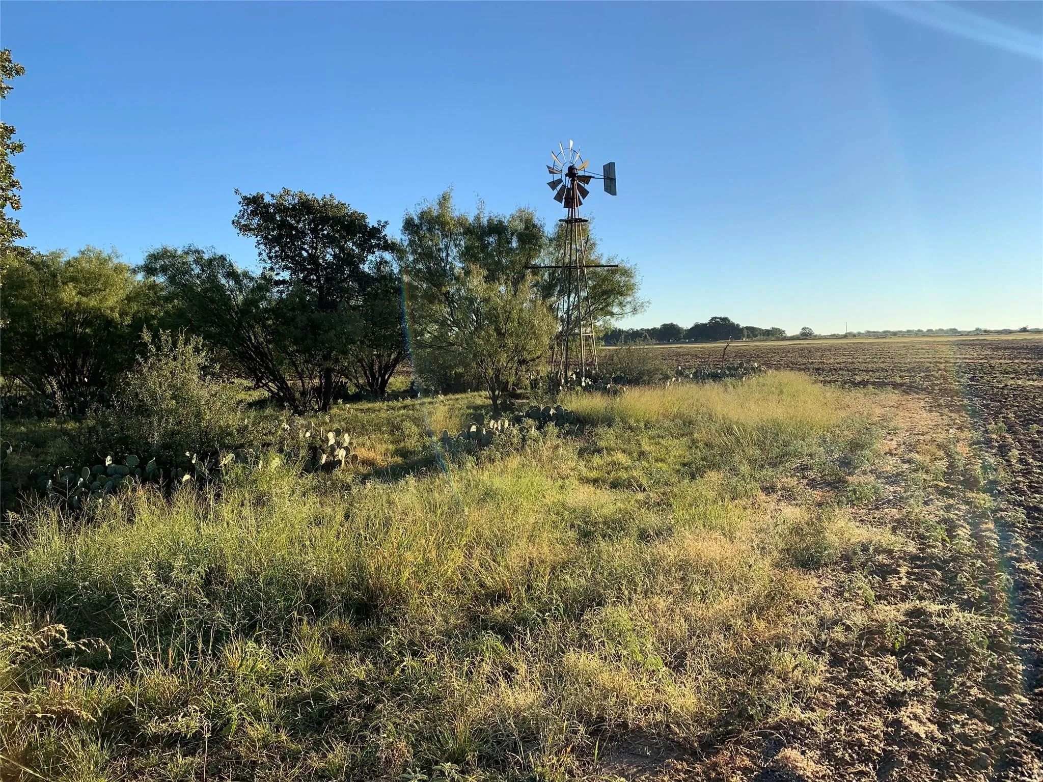 Ranch For Sale in Callahan County , 0 County Road 162, Cisco, Texas 76437, 0, 0, Garage spaces, 0 Sqft, built in 0, mls#21371030, Real Estate Agent in Cisco, Homes For Sale in Callahan county, Homes For Sale in Cisco, Realtor in Cisco Texas, Real Estate Brokerage Independent Realty Texas, Luminita Cordes Realtor