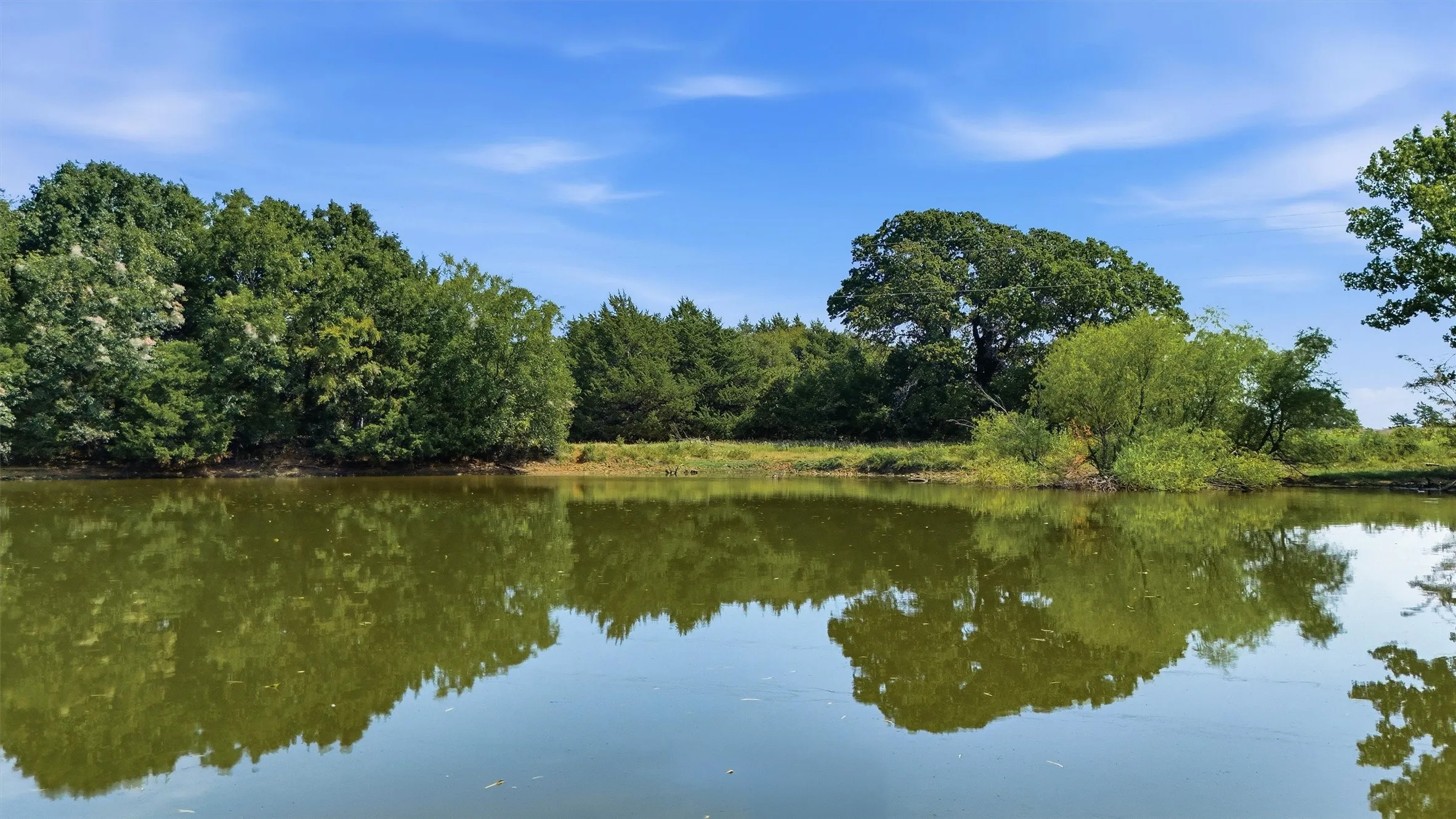 Improved Land For Sale in Grayson County , 97.94 Bill Holder, Whitesboro, Texas 76264, 0, 0, Garage spaces, 0 Sqft, built in 0, mls#21372007, Real Estate Agent in Whitesboro, Homes For Sale in Grayson county, Homes For Sale in Whitesboro, Realtor in Whitesboro Texas, Real Estate Brokerage Independent Realty Texas, Luminita Cordes Realtor
