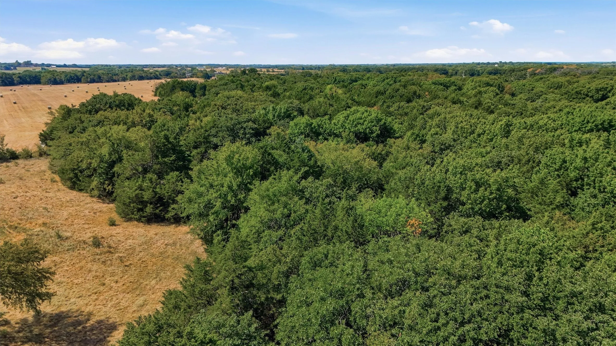 Improved Land For Sale in Grayson County , 97.94 Bill Holder, Whitesboro, Texas 76264, 0, 0, Garage spaces, 0 Sqft, built in 0, mls#21372007, Real Estate Agent in Whitesboro, Homes For Sale in Grayson county, Homes For Sale in Whitesboro, Realtor in Whitesboro Texas, Real Estate Brokerage Independent Realty Texas, Luminita Cordes Realtor