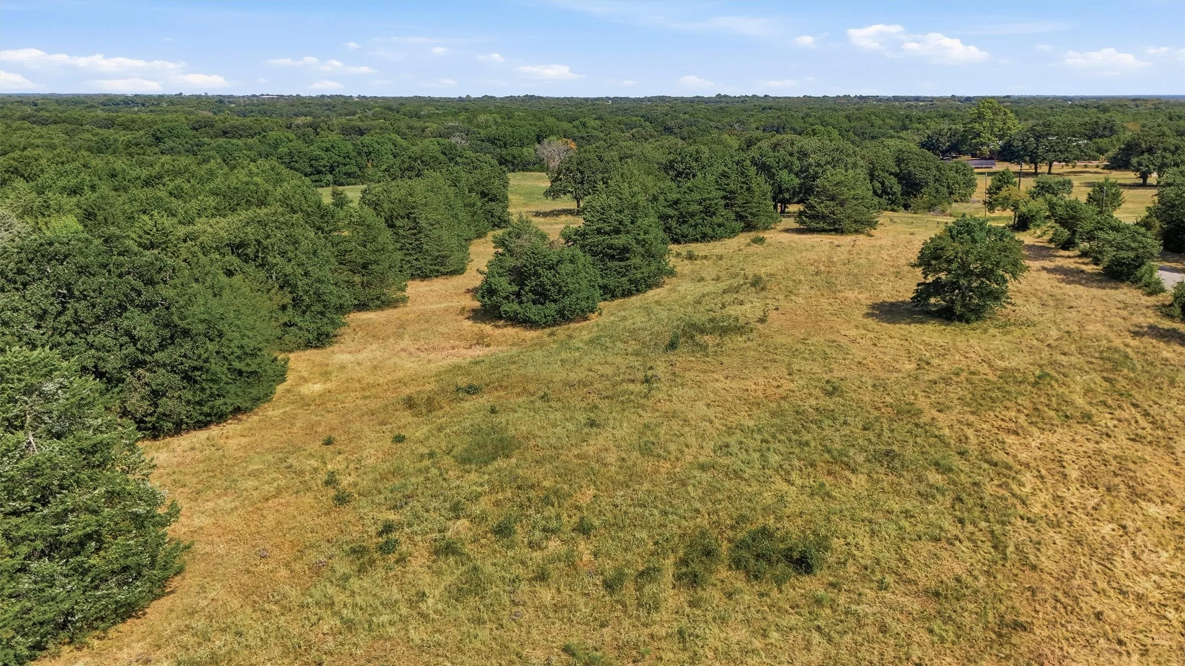 Improved Land For Sale in Grayson County , 97.94 Bill Holder, Whitesboro, Texas 76264, 0, 0, Garage spaces, 0 Sqft, built in 0, mls#21372007, Real Estate Agent in Whitesboro, Homes For Sale in Grayson county, Homes For Sale in Whitesboro, Realtor in Whitesboro Texas, Real Estate Brokerage Independent Realty Texas, Luminita Cordes Realtor