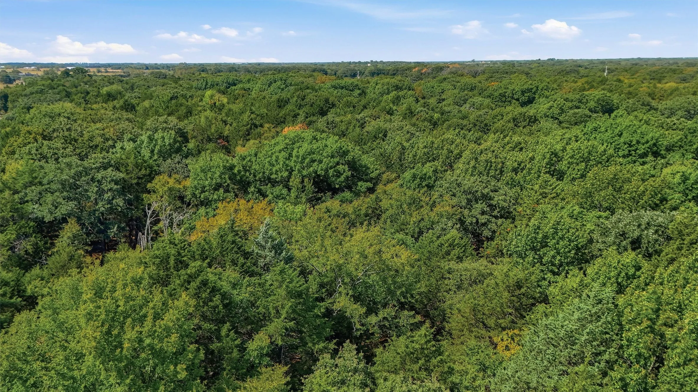 Improved Land For Sale in Grayson County , 97.94 Bill Holder, Whitesboro, Texas 76264, 0, 0, Garage spaces, 0 Sqft, built in 0, mls#21372007, Real Estate Agent in Whitesboro, Homes For Sale in Grayson county, Homes For Sale in Whitesboro, Realtor in Whitesboro Texas, Real Estate Brokerage Independent Realty Texas, Luminita Cordes Realtor