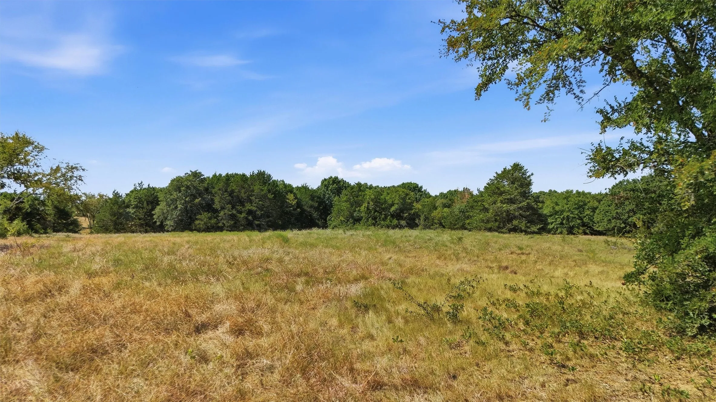 Improved Land For Sale in Grayson County , 97.94 Bill Holder, Whitesboro, Texas 76264, 0, 0, Garage spaces, 0 Sqft, built in 0, mls#21372007, Real Estate Agent in Whitesboro, Homes For Sale in Grayson county, Homes For Sale in Whitesboro, Realtor in Whitesboro Texas, Real Estate Brokerage Independent Realty Texas, Luminita Cordes Realtor