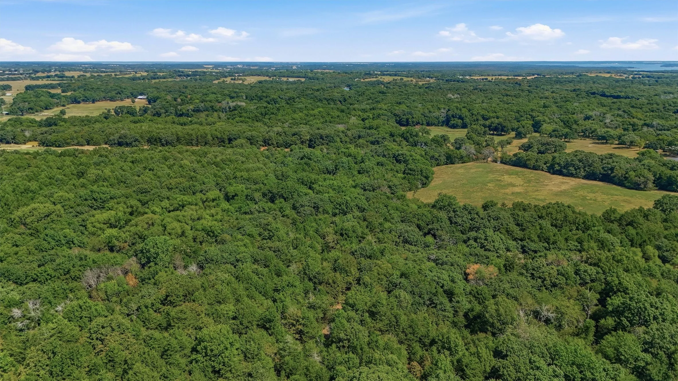 Improved Land For Sale in Grayson County , 97.94 Bill Holder, Whitesboro, Texas 76264, 0, 0, Garage spaces, 0 Sqft, built in 0, mls#21372007, Real Estate Agent in Whitesboro, Homes For Sale in Grayson county, Homes For Sale in Whitesboro, Realtor in Whitesboro Texas, Real Estate Brokerage Independent Realty Texas, Luminita Cordes Realtor