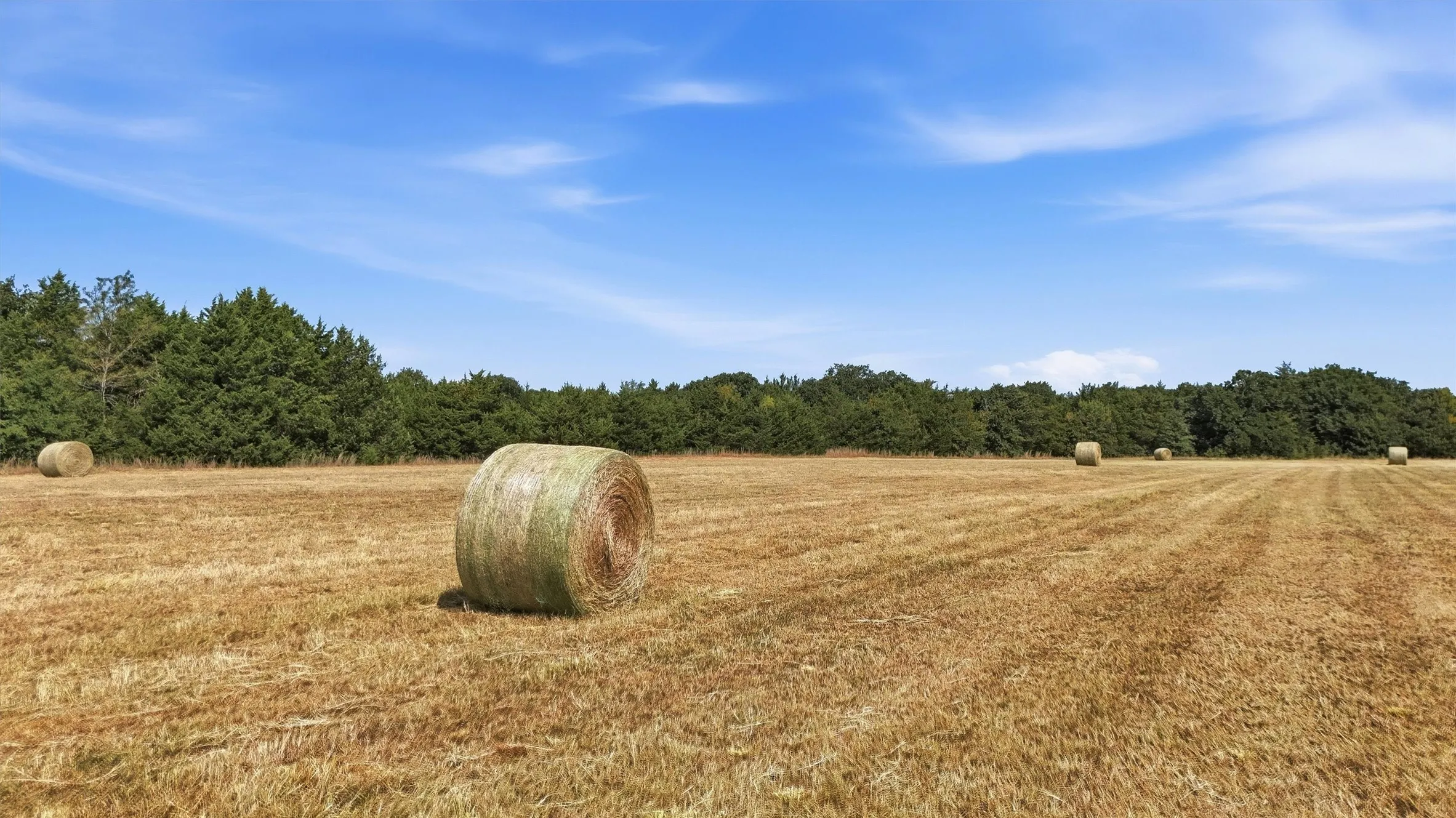 Improved Land For Sale in Grayson County , 97.94 Bill Holder, Whitesboro, Texas 76264, 0, 0, Garage spaces, 0 Sqft, built in 0, mls#21372007, Real Estate Agent in Whitesboro, Homes For Sale in Grayson county, Homes For Sale in Whitesboro, Realtor in Whitesboro Texas, Real Estate Brokerage Independent Realty Texas, Luminita Cordes Realtor