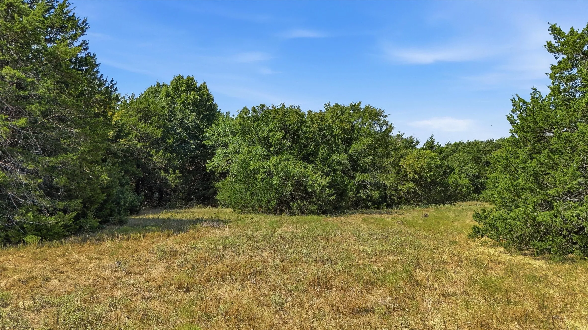 Improved Land For Sale in Grayson County , 97.94 Bill Holder, Whitesboro, Texas 76264, 0, 0, Garage spaces, 0 Sqft, built in 0, mls#21372007, Real Estate Agent in Whitesboro, Homes For Sale in Grayson county, Homes For Sale in Whitesboro, Realtor in Whitesboro Texas, Real Estate Brokerage Independent Realty Texas, Luminita Cordes Realtor