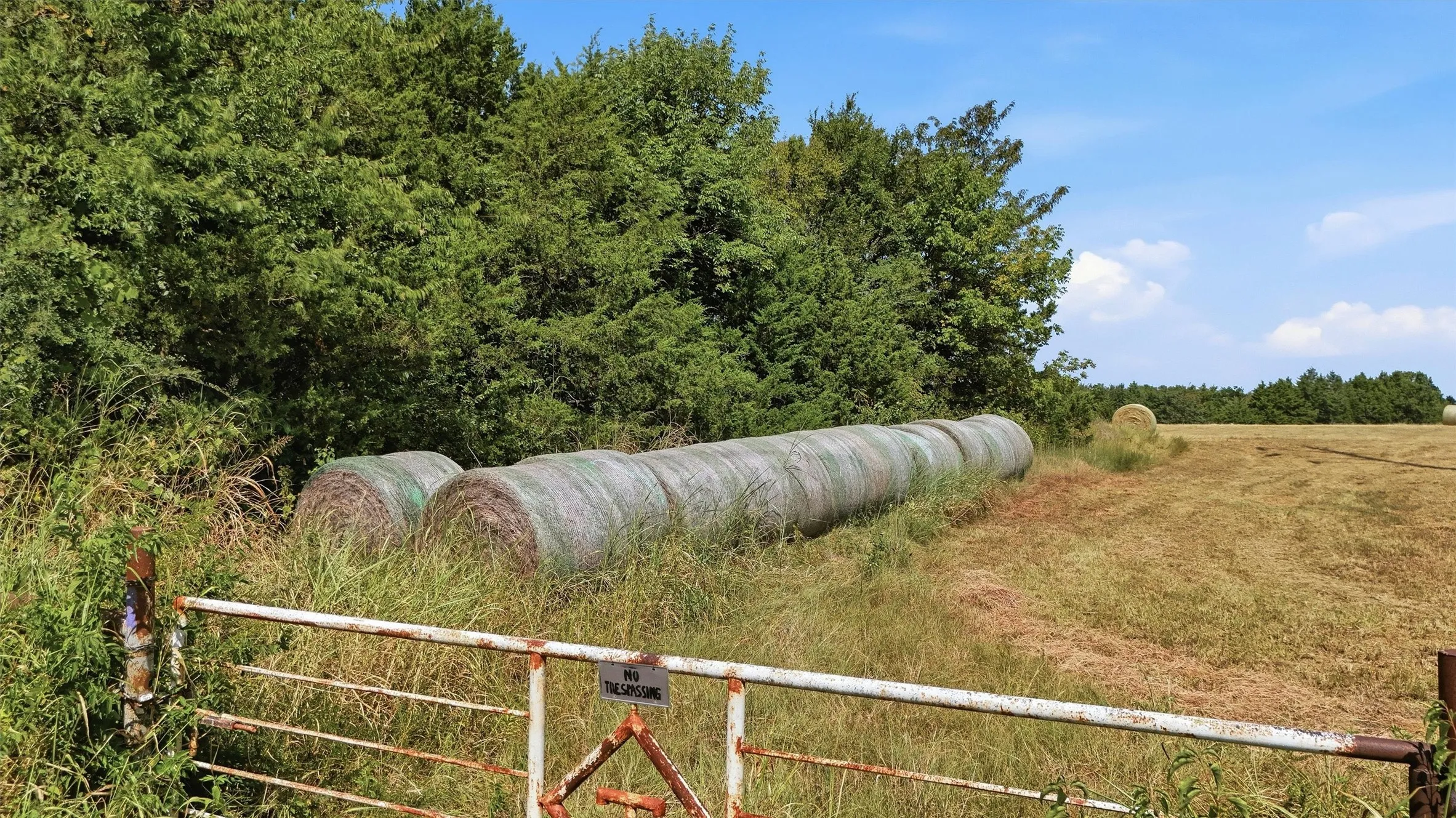 Improved Land For Sale in Grayson County , 97.94 Bill Holder, Whitesboro, Texas 76264, 0, 0, Garage spaces, 0 Sqft, built in 0, mls#21372007, Real Estate Agent in Whitesboro, Homes For Sale in Grayson county, Homes For Sale in Whitesboro, Realtor in Whitesboro Texas, Real Estate Brokerage Independent Realty Texas, Luminita Cordes Realtor