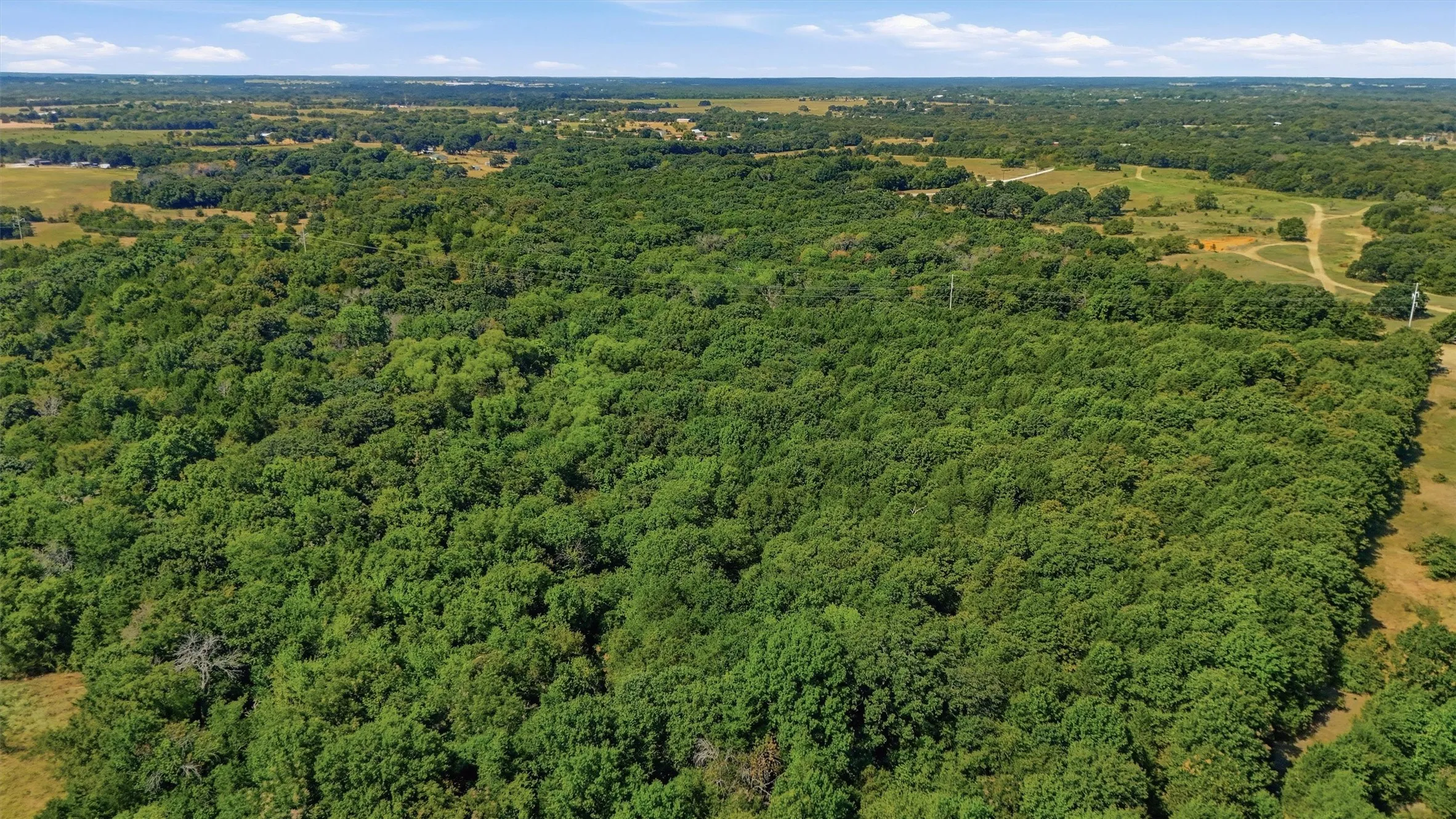 Improved Land For Sale in Grayson County , 97.94 Bill Holder, Whitesboro, Texas 76264, 0, 0, Garage spaces, 0 Sqft, built in 0, mls#21372007, Real Estate Agent in Whitesboro, Homes For Sale in Grayson county, Homes For Sale in Whitesboro, Realtor in Whitesboro Texas, Real Estate Brokerage Independent Realty Texas, Luminita Cordes Realtor