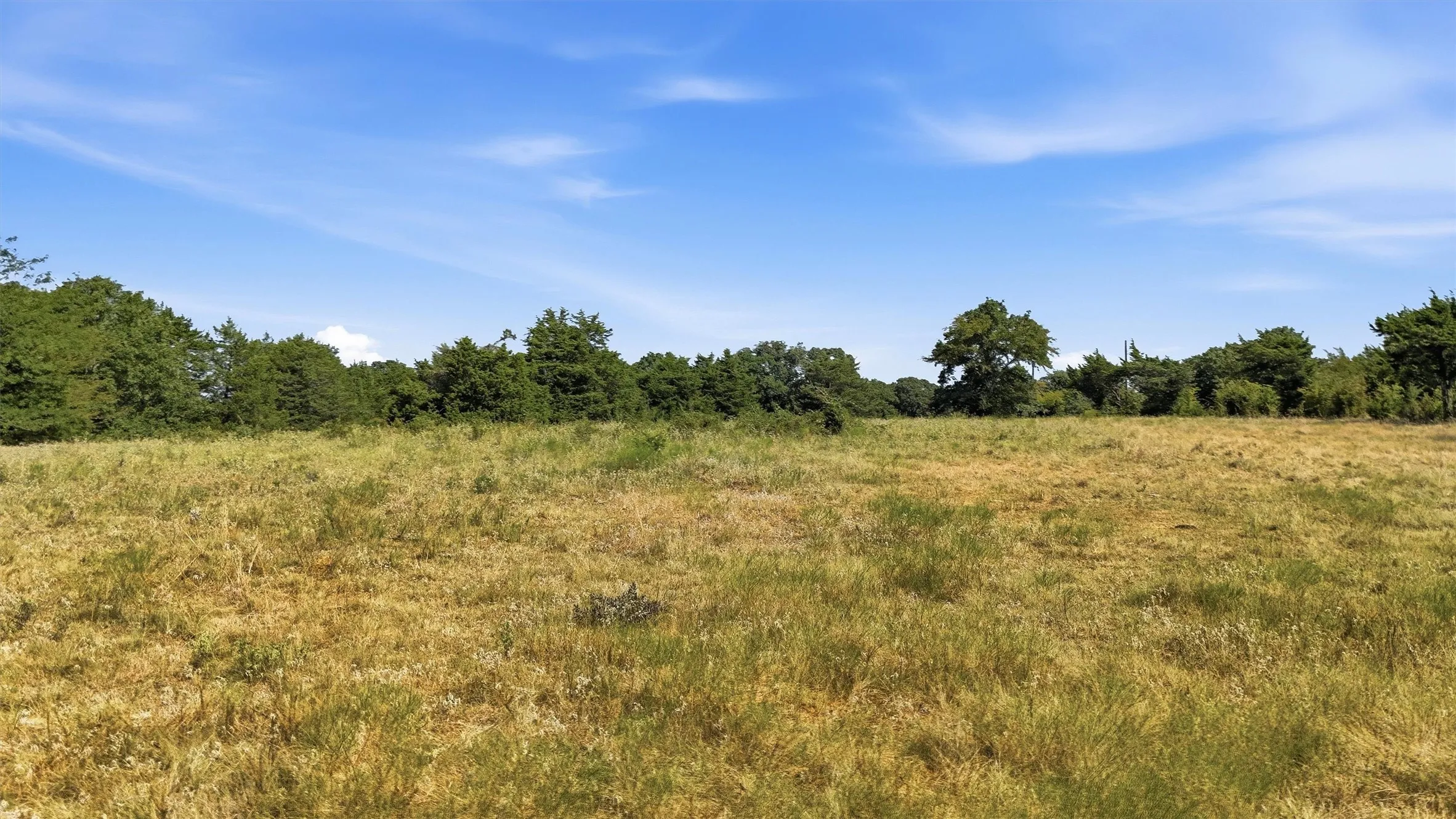 Improved Land For Sale in Grayson County , 97.94 Bill Holder, Whitesboro, Texas 76264, 0, 0, Garage spaces, 0 Sqft, built in 0, mls#21372007, Real Estate Agent in Whitesboro, Homes For Sale in Grayson county, Homes For Sale in Whitesboro, Realtor in Whitesboro Texas, Real Estate Brokerage Independent Realty Texas, Luminita Cordes Realtor