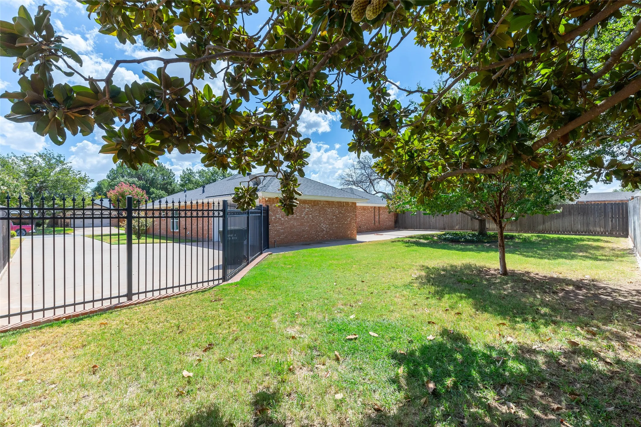 Expansive lawn area with a mature tree providing natural shade, enclosed by a black metal fence with a gate