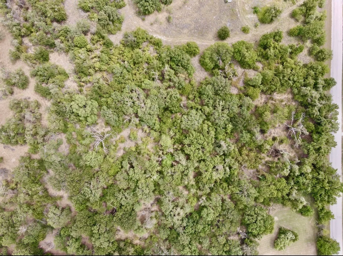 Unimproved Land For Sale in Wise County , 290 County Road 3679, Paradise, Texas 76073, 0, 0, Garage spaces, 0 Sqft, built in 0, mls#21372072, Real Estate Agent in Paradise, Homes For Sale in Wise county, Homes For Sale in Paradise, Realtor in Paradise Texas, Real Estate Brokerage Independent Realty Texas, Luminita Cordes Realtor
