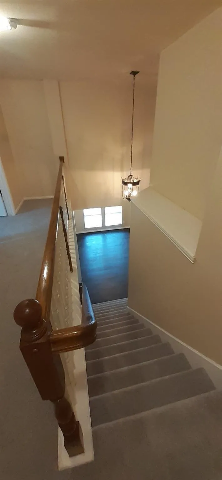 Carpeted staircase with wood handrail, featuring a prominent chandelier and transom window