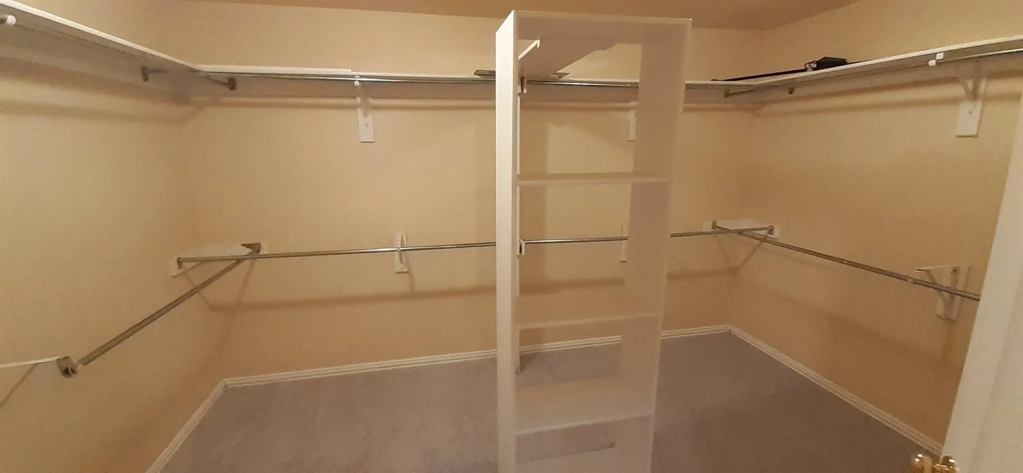 Walk-in closet with carpeted flooring, built-in shelving unit, and multiple clothing rods