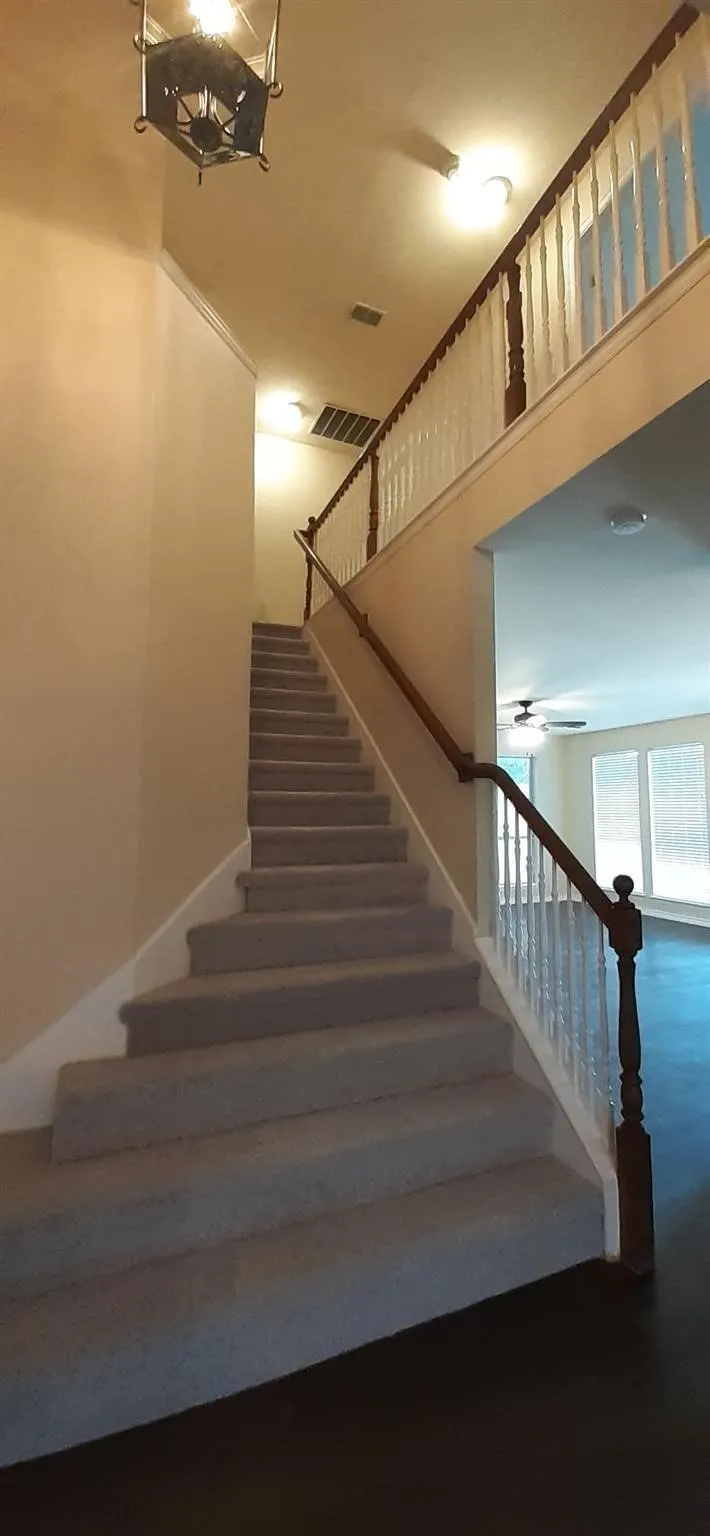 Carpeted staircase with wood handrails, white spindles, and dark wood-finish flooring