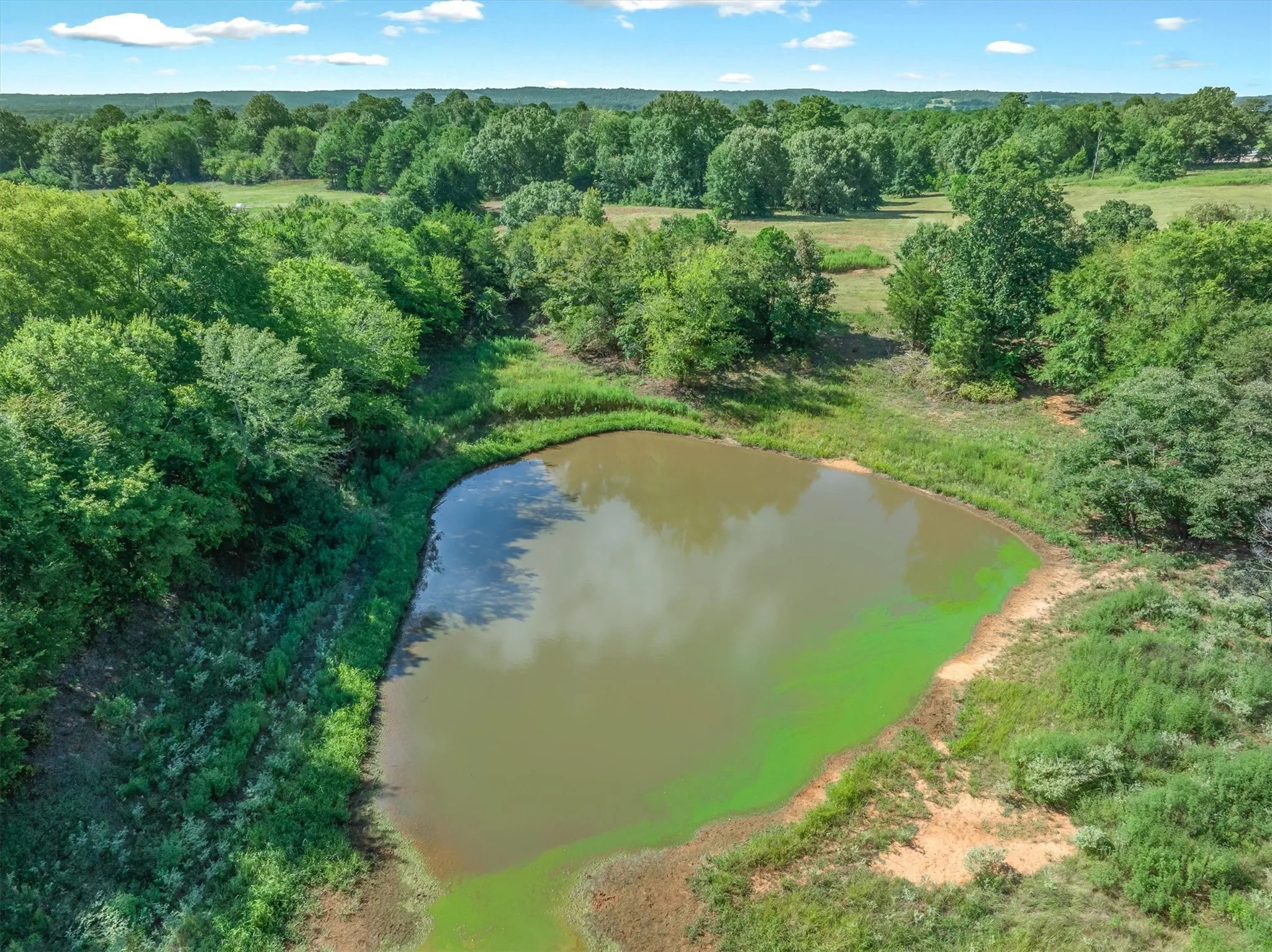 Mobile Home For Sale in Henderson County , 10815 FM-315, Poynor, Texas 75782, 4 Bedroom, 2 Bathroom, Garage spaces, 1,568 Sqft, built in 1998, mls#21372041, Real Estate Agent in Poynor, Homes For Sale in Henderson county, Homes For Sale in Poynor, Realtor in Poynor Texas, Real Estate Brokerage Independent Realty Texas, Luminita Cordes Realtor