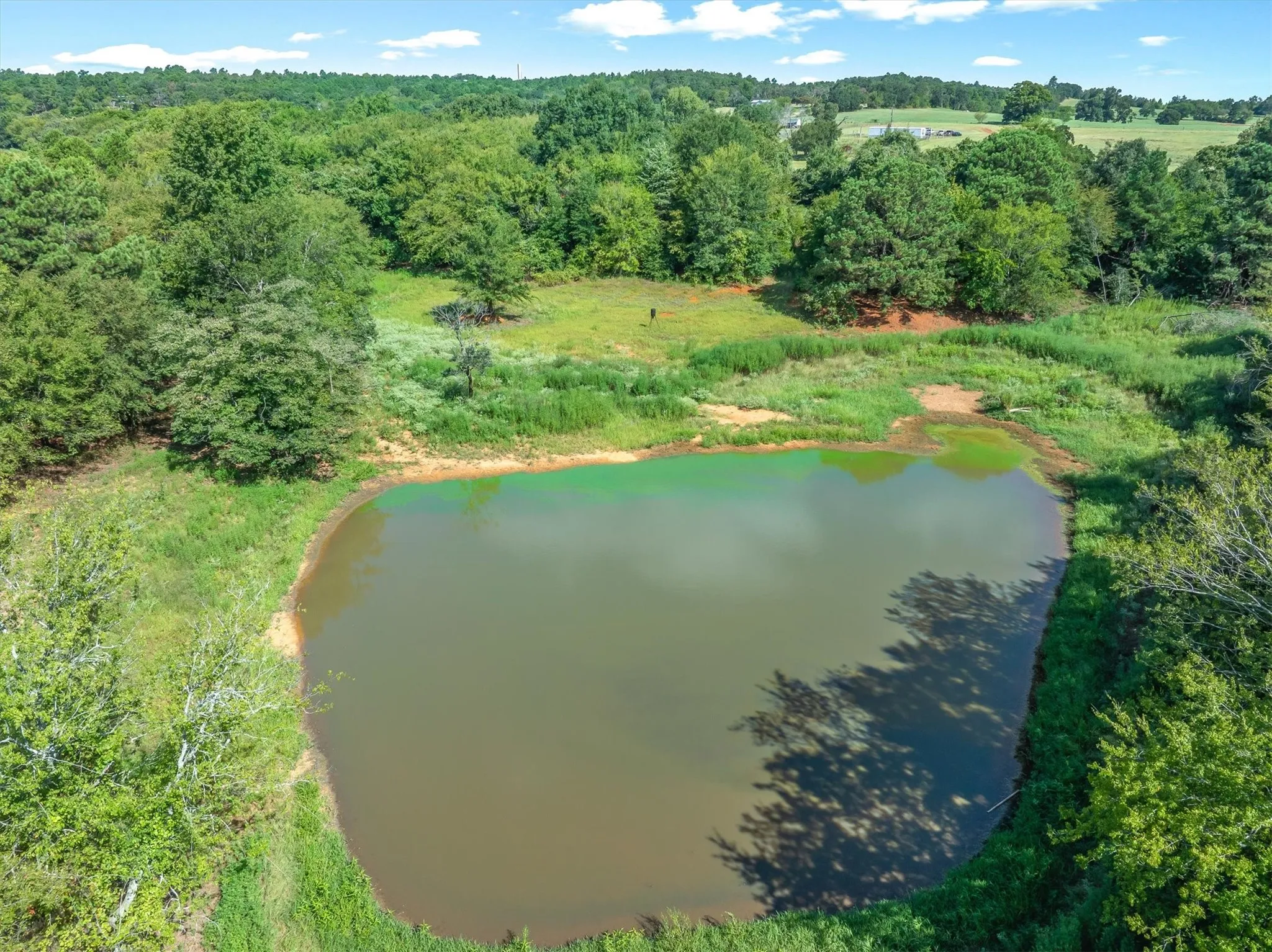 Mobile Home For Sale in Henderson County , 10815 FM-315, Poynor, Texas 75782, 4 Bedroom, 2 Bathroom, Garage spaces, 1,568 Sqft, built in 1998, mls#21372041, Real Estate Agent in Poynor, Homes For Sale in Henderson county, Homes For Sale in Poynor, Realtor in Poynor Texas, Real Estate Brokerage Independent Realty Texas, Luminita Cordes Realtor