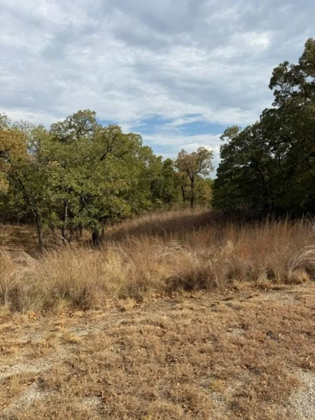 Improved Land For Sale in Montague County , 127 Hoppe Drive, Nocona, Texas 76255, 0, 0, Garage spaces, 0 Sqft, built in 0, mls#21372158, Real Estate Agent in Nocona, Homes For Sale in Montague county, Homes For Sale in Nocona, Realtor in Nocona Texas, Real Estate Brokerage Independent Realty Texas, Luminita Cordes Realtor