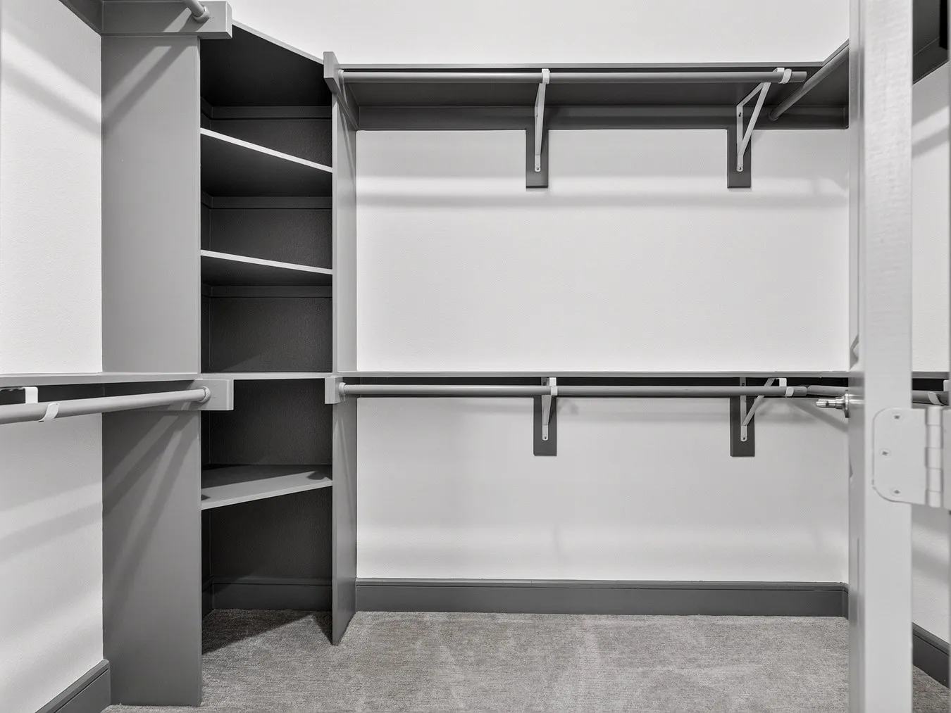 Carpeted closet featuring built-in shelving, multiple hanging rods, and dark gray trim