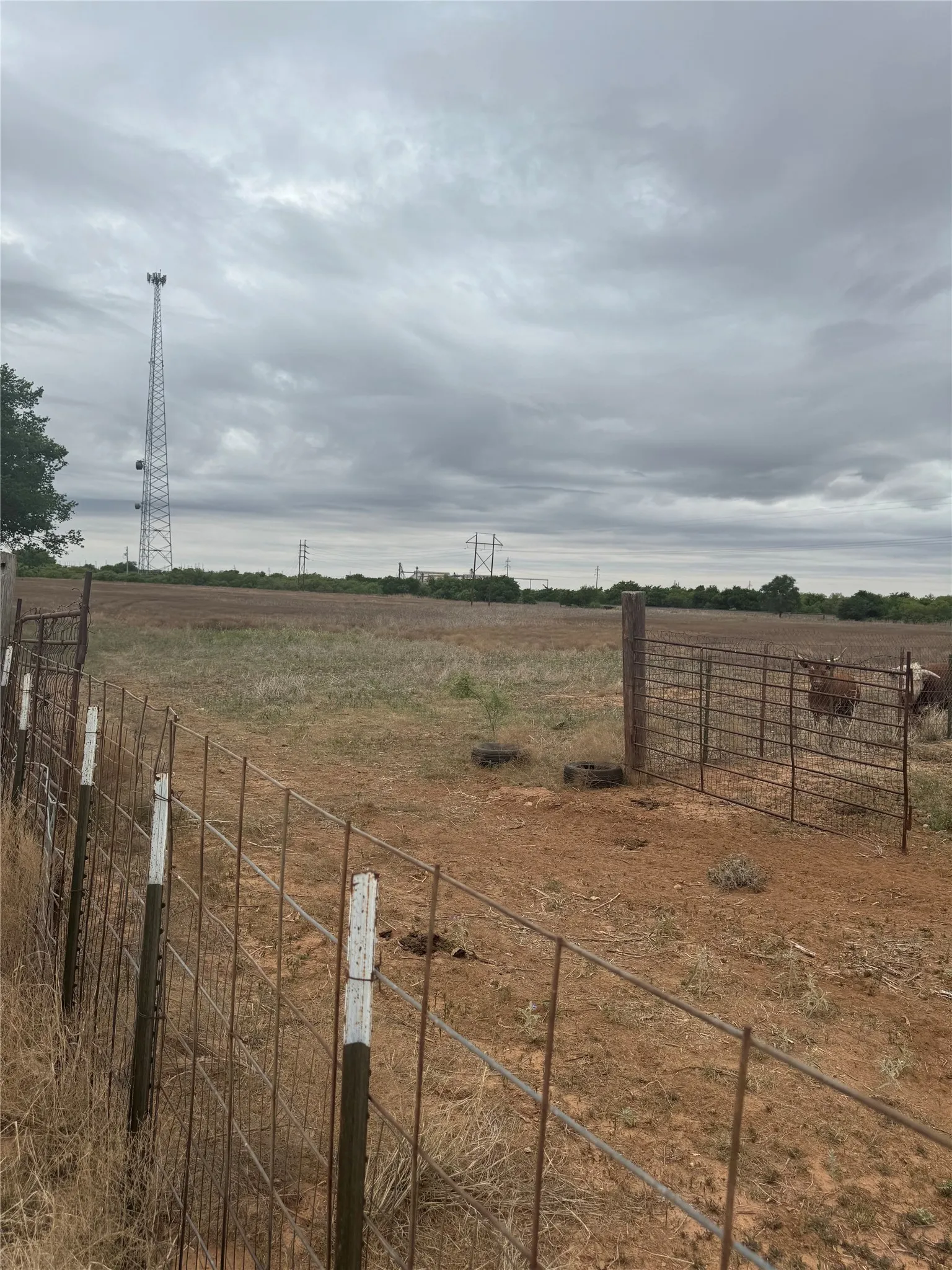 Industrial For Rent in Hardeman County , FM 2568 Florez Road, Quanah, Texas 79252, 0, 0, Garage spaces, 0 Sqft, built in 2010, mls#21372206, Real Estate Agent in Quanah, Homes For Rent in Hardeman county, Homes For Rent in Quanah, Realtor in Quanah Texas, Real Estate Brokerage Independent Realty Texas, Luminita Cordes Realtor