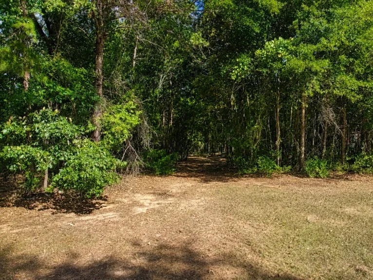 Mobile Home For Sale in Upshur County , 1141 Todd Road, Gilmer, Texas 75645, 4 Bedroom, 2 Bathroom, 2 Garage spaces, 1,820 Sqft, built in 1983, mls#21370343, Real Estate Agent in Gilmer, Homes For Sale in Upshur county, Homes For Sale in Gilmer, Realtor in Gilmer Texas, Real Estate Brokerage Independent Realty Texas, Luminita Cordes Realtor
