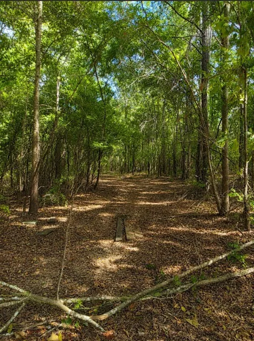 Mobile Home For Sale in Upshur County , 1141 Todd Road, Gilmer, Texas 75645, 4 Bedroom, 2 Bathroom, 2 Garage spaces, 1,820 Sqft, built in 1983, mls#21370343, Real Estate Agent in Gilmer, Homes For Sale in Upshur county, Homes For Sale in Gilmer, Realtor in Gilmer Texas, Real Estate Brokerage Independent Realty Texas, Luminita Cordes Realtor