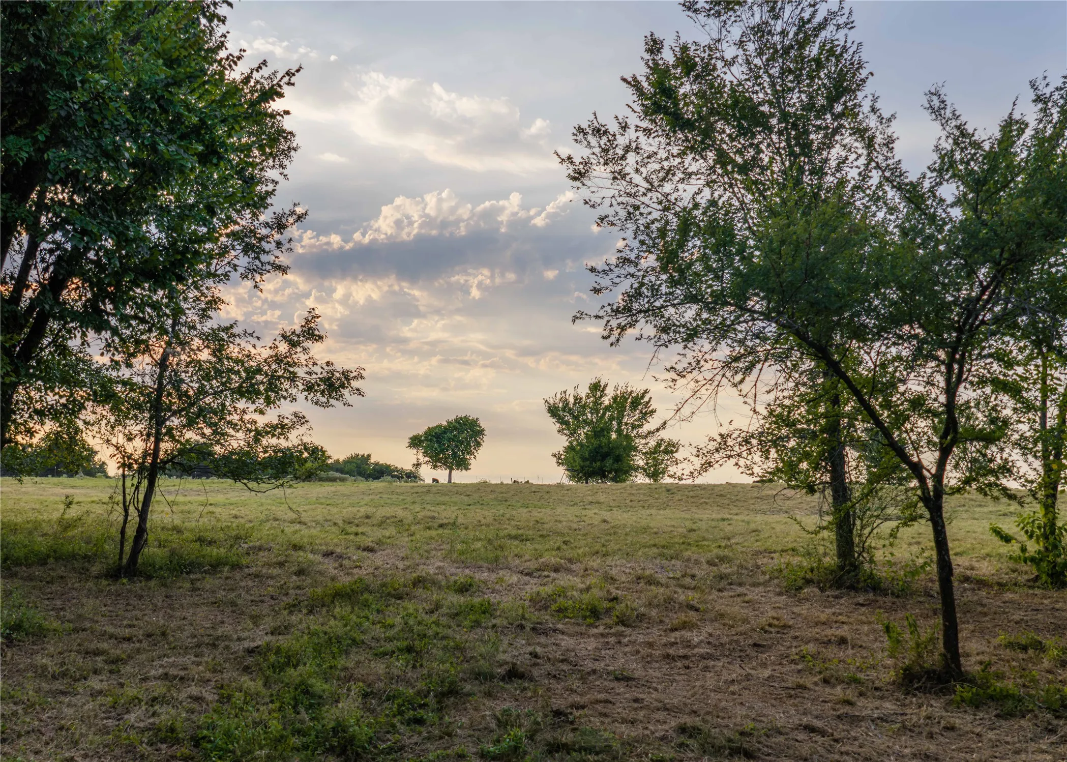 Unimproved Land For Sale in Hopkins County , 610 County Road 2300, Sulphur Springs, Texas 75482, 0, 0, Garage spaces, 0 Sqft, built in 0, mls#21371617, Real Estate Agent in Sulphur Springs, Homes For Sale in Hopkins county, Homes For Sale in Sulphur Springs, Realtor in Sulphur Springs Texas, Real Estate Brokerage Independent Realty Texas, Luminita Cordes Realtor