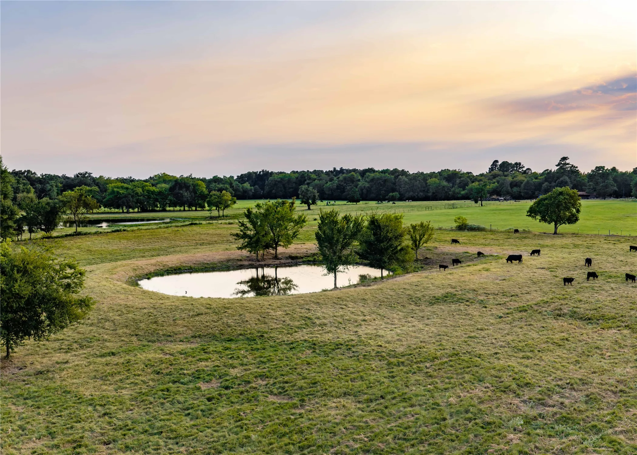 Unimproved Land For Sale in Hopkins County , 610 County Road 2300, Sulphur Springs, Texas 75482, 0, 0, Garage spaces, 0 Sqft, built in 0, mls#21371617, Real Estate Agent in Sulphur Springs, Homes For Sale in Hopkins county, Homes For Sale in Sulphur Springs, Realtor in Sulphur Springs Texas, Real Estate Brokerage Independent Realty Texas, Luminita Cordes Realtor