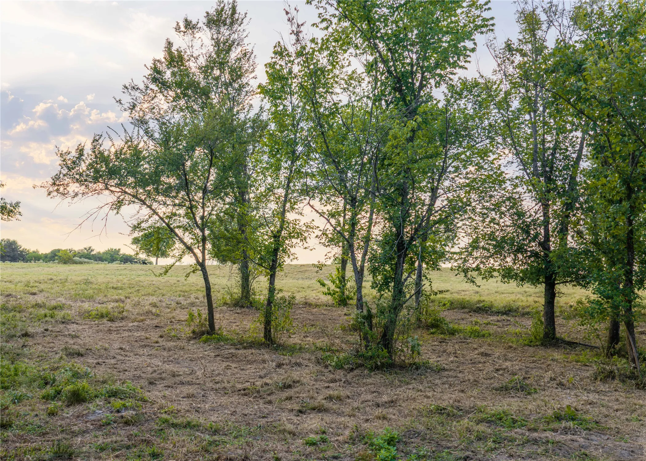 Unimproved Land For Sale in Hopkins County , 610 County Road 2300, Sulphur Springs, Texas 75482, 0, 0, Garage spaces, 0 Sqft, built in 0, mls#21371617, Real Estate Agent in Sulphur Springs, Homes For Sale in Hopkins county, Homes For Sale in Sulphur Springs, Realtor in Sulphur Springs Texas, Real Estate Brokerage Independent Realty Texas, Luminita Cordes Realtor