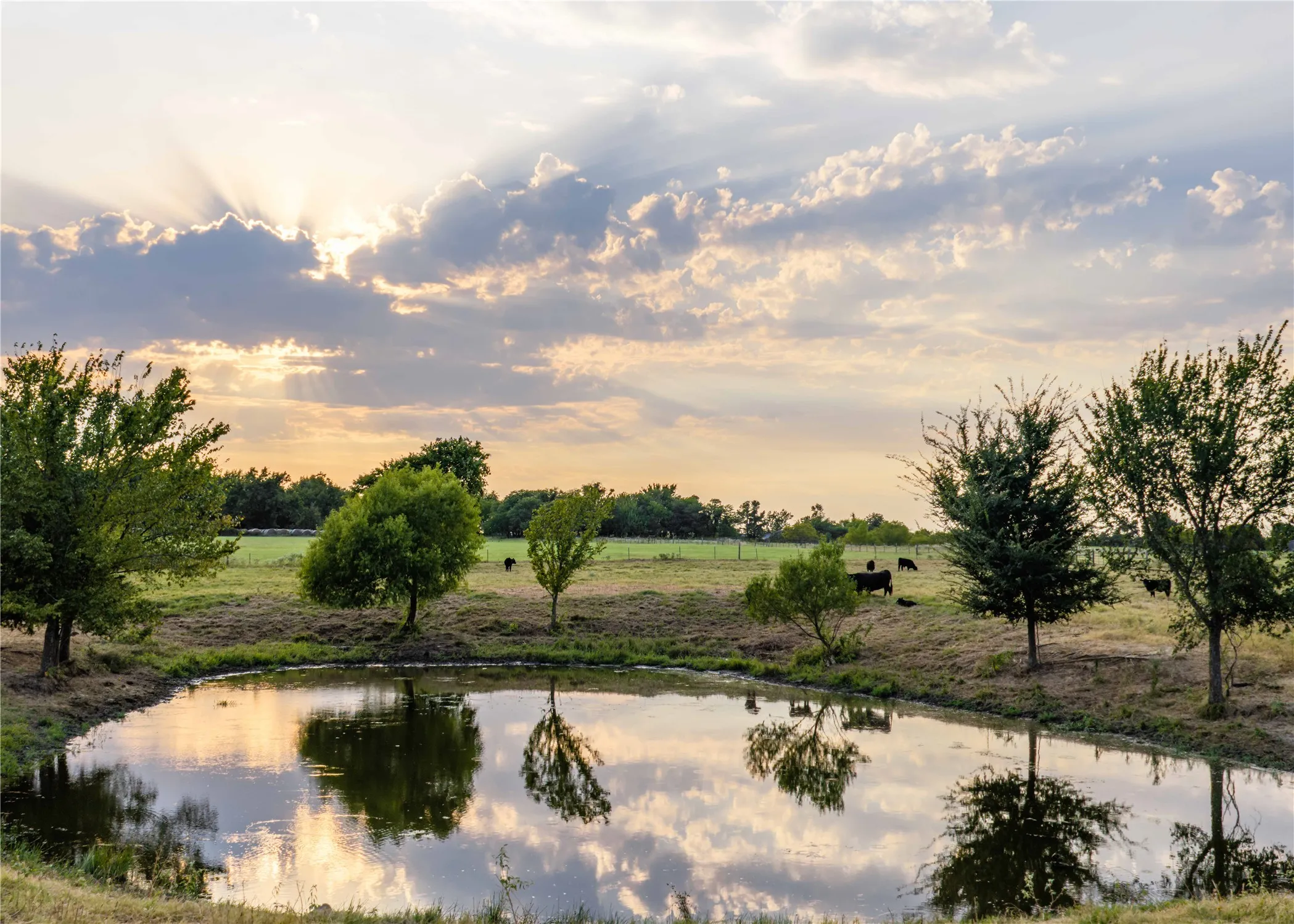 Unimproved Land For Sale in Hopkins County , 610 County Road 2300, Sulphur Springs, Texas 75482, 0, 0, Garage spaces, 0 Sqft, built in 0, mls#21371617, Real Estate Agent in Sulphur Springs, Homes For Sale in Hopkins county, Homes For Sale in Sulphur Springs, Realtor in Sulphur Springs Texas, Real Estate Brokerage Independent Realty Texas, Luminita Cordes Realtor