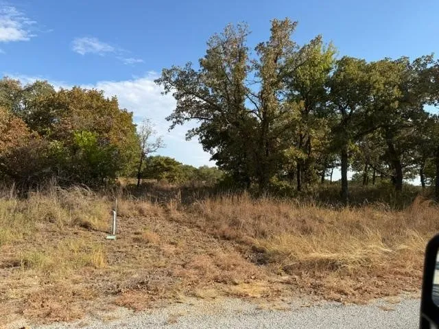 Improved Land For Sale in Montague County , 17 Crestline Court, Nocona, Texas 76255, 0, 0, Garage spaces, 0 Sqft, built in 0, mls#21372221, Real Estate Agent in Nocona, Homes For Sale in Montague county, Homes For Sale in Nocona, Realtor in Nocona Texas, Real Estate Brokerage Independent Realty Texas, Luminita Cordes Realtor