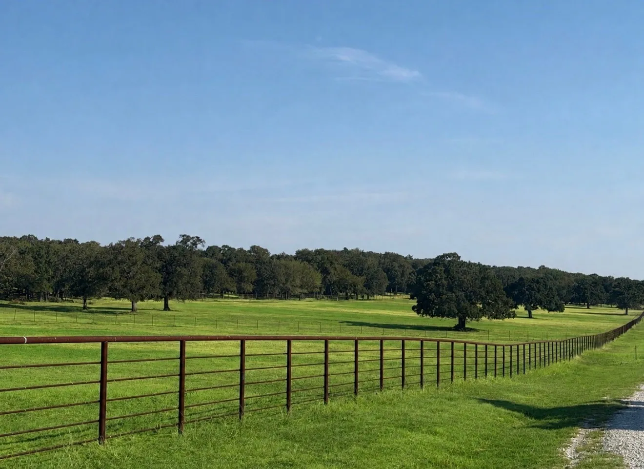 Improved Land For Sale in Cooke County , TBD Springs Road, Valley View, Texas 76272, 0, 0, Garage spaces, 0 Sqft, built in 2023, mls#21371220, Real Estate Agent in Valley View, Homes For Sale in Cooke county, Homes For Sale in Valley View, Realtor in Valley View Texas, Real Estate Brokerage Independent Realty Texas, Luminita Cordes Realtor