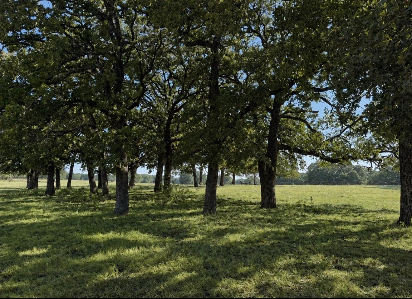 Improved Land For Sale in Cooke County , TBD Springs Road, Valley View, Texas 76272, 0, 0, Garage spaces, 0 Sqft, built in 2023, mls#21371220, Real Estate Agent in Valley View, Homes For Sale in Cooke county, Homes For Sale in Valley View, Realtor in Valley View Texas, Real Estate Brokerage Independent Realty Texas, Luminita Cordes Realtor