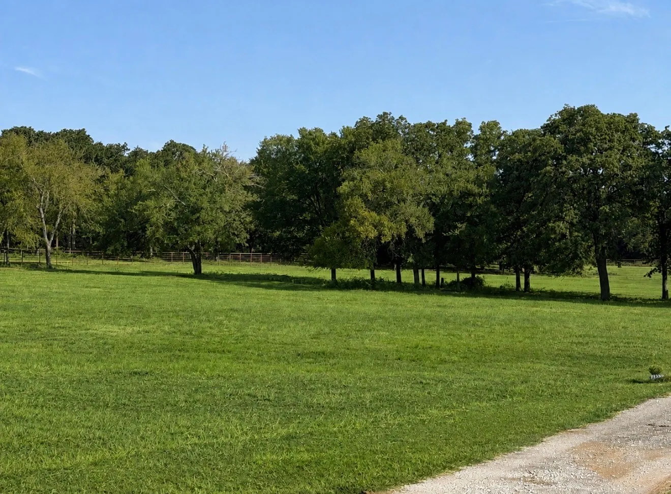 Improved Land For Sale in Cooke County , TBD Springs Road, Valley View, Texas 76272, 0, 0, Garage spaces, 0 Sqft, built in 2023, mls#21371220, Real Estate Agent in Valley View, Homes For Sale in Cooke county, Homes For Sale in Valley View, Realtor in Valley View Texas, Real Estate Brokerage Independent Realty Texas, Luminita Cordes Realtor