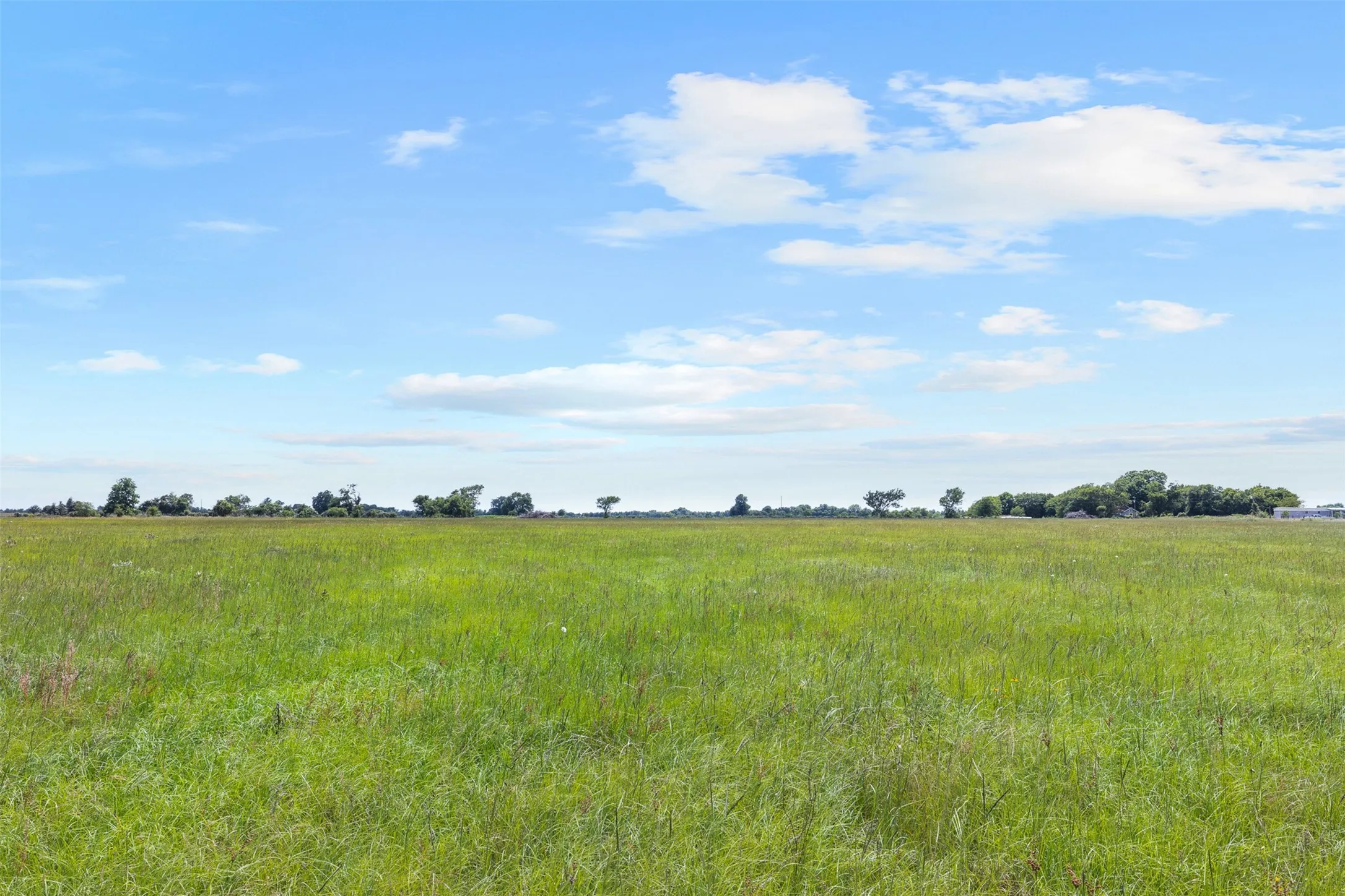 Single Family Residence For Sale in Limestone County , 476 LCR 640 (+/-31.50 Acres), Groesbeck, Texas 76642, 3 Bedroom, 3 Bathroom, Garage spaces, 1,855 Sqft, built in 2014, mls#21371752, Real Estate Agent in Groesbeck, Homes For Sale in Limestone county, Homes For Sale in Groesbeck, Realtor in Groesbeck Texas, Real Estate Brokerage Independent Realty Texas, Luminita Cordes Realtor