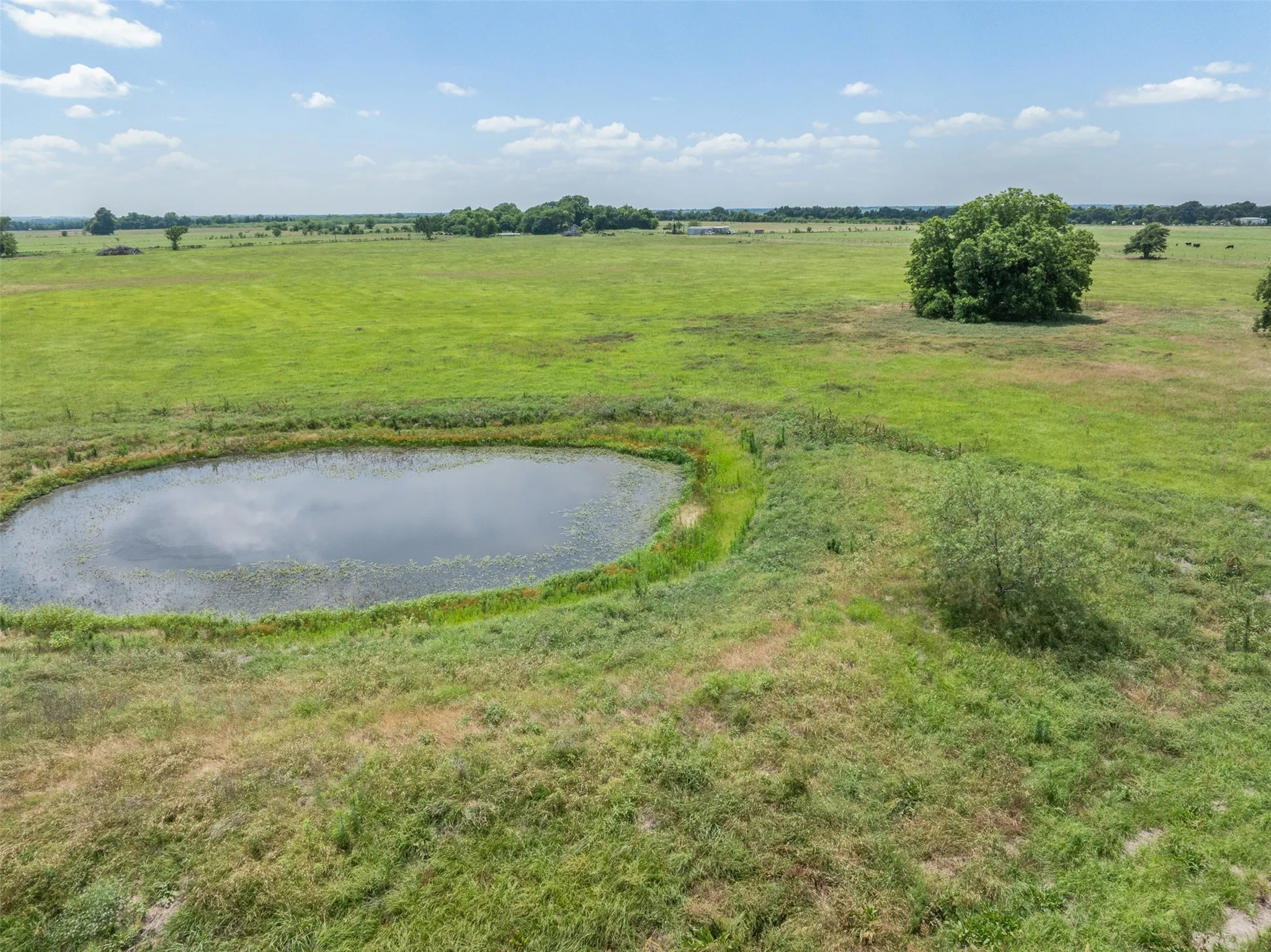 Single Family Residence For Sale in Limestone County , 476 LCR 640 (+/-31.50 Acres), Groesbeck, Texas 76642, 3 Bedroom, 3 Bathroom, Garage spaces, 1,855 Sqft, built in 2014, mls#21371752, Real Estate Agent in Groesbeck, Homes For Sale in Limestone county, Homes For Sale in Groesbeck, Realtor in Groesbeck Texas, Real Estate Brokerage Independent Realty Texas, Luminita Cordes Realtor