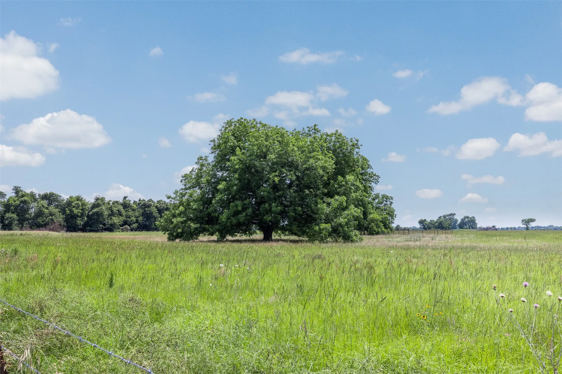 Single Family Residence For Sale in Limestone County , 476 LCR 640 (+/-31.50 Acres), Groesbeck, Texas 76642, 3 Bedroom, 3 Bathroom, Garage spaces, 1,855 Sqft, built in 2014, mls#21371752, Real Estate Agent in Groesbeck, Homes For Sale in Limestone county, Homes For Sale in Groesbeck, Realtor in Groesbeck Texas, Real Estate Brokerage Independent Realty Texas, Luminita Cordes Realtor