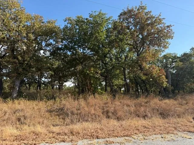 Improved Land For Sale in Montague County , 15 Crestline Court, Nocona, Texas 76255, 0, 0, Garage spaces, 0 Sqft, built in 0, mls#21372241, Real Estate Agent in Nocona, Homes For Sale in Montague county, Homes For Sale in Nocona, Realtor in Nocona Texas, Real Estate Brokerage Independent Realty Texas, Luminita Cordes Realtor