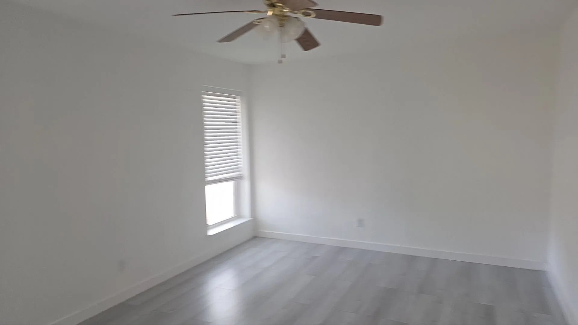 Wood-finish flooring, ceiling fan, and large window with blinds